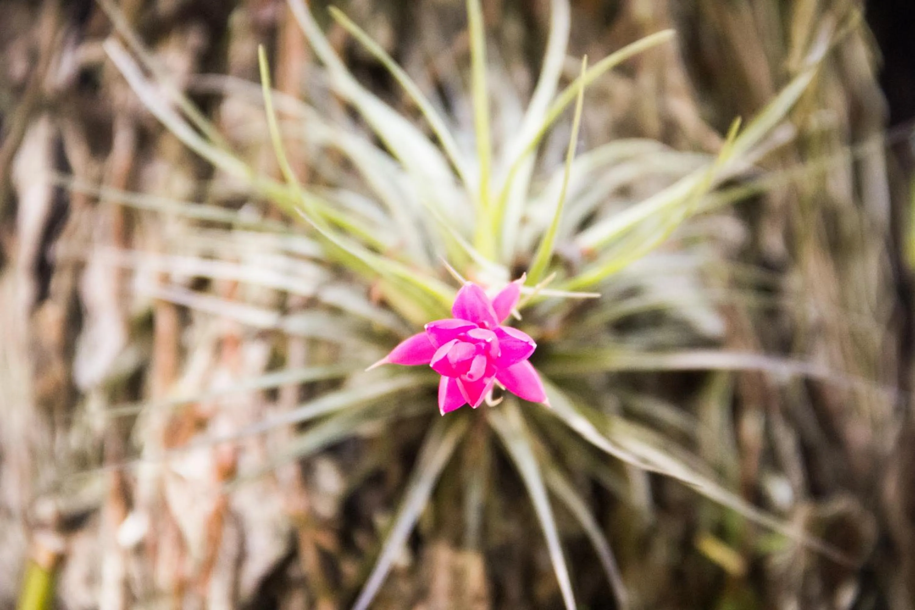 Other in Pousada da Mata