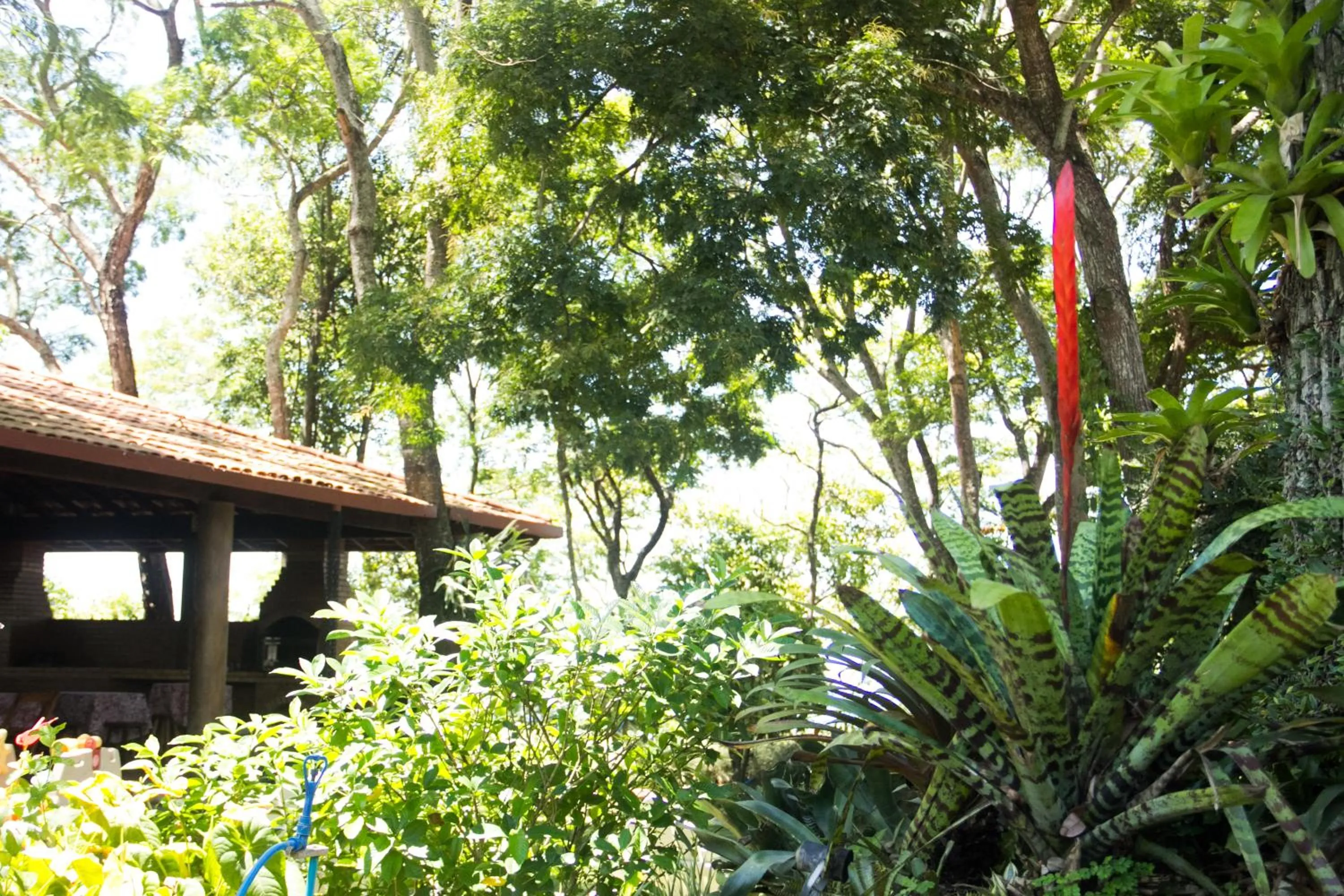 Off site in Pousada da Mata