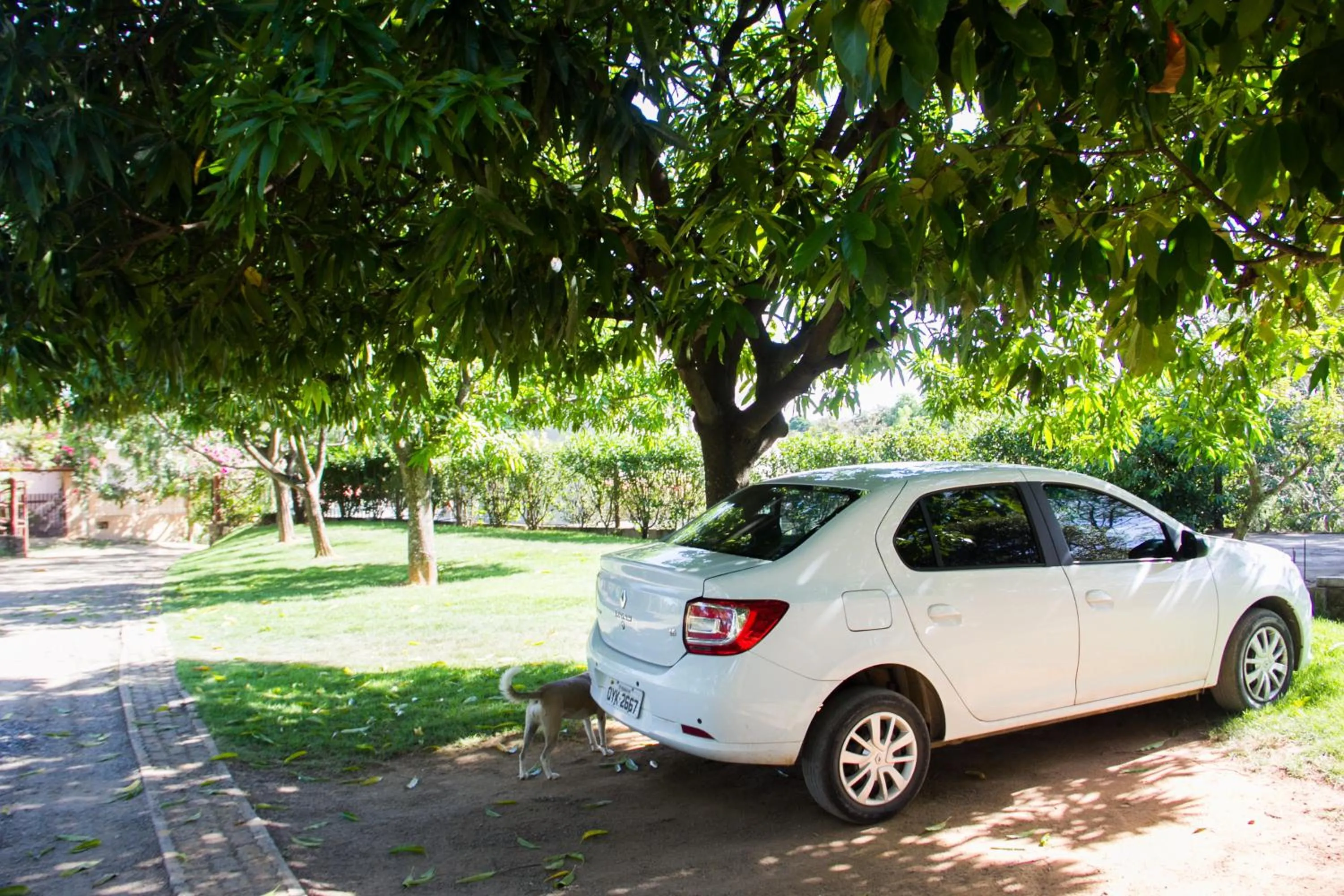 Property building in Pousada da Mata