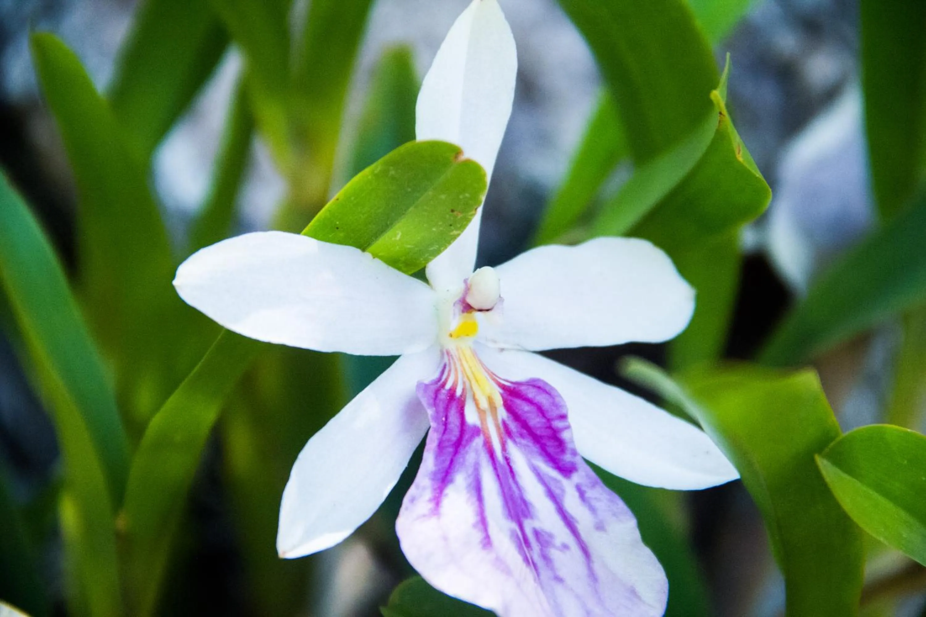 Other in Pousada da Mata
