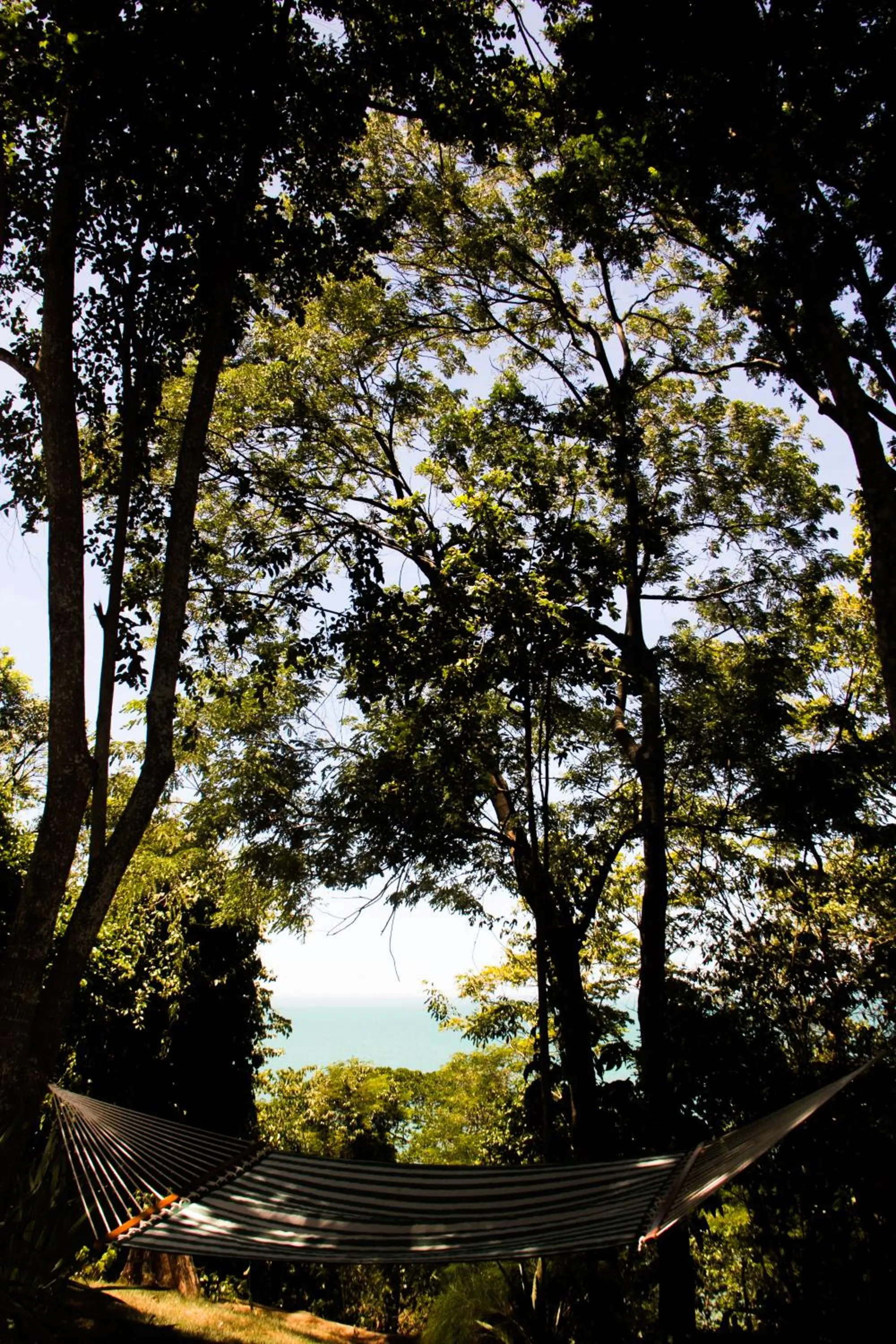 Landmark view in Pousada da Mata