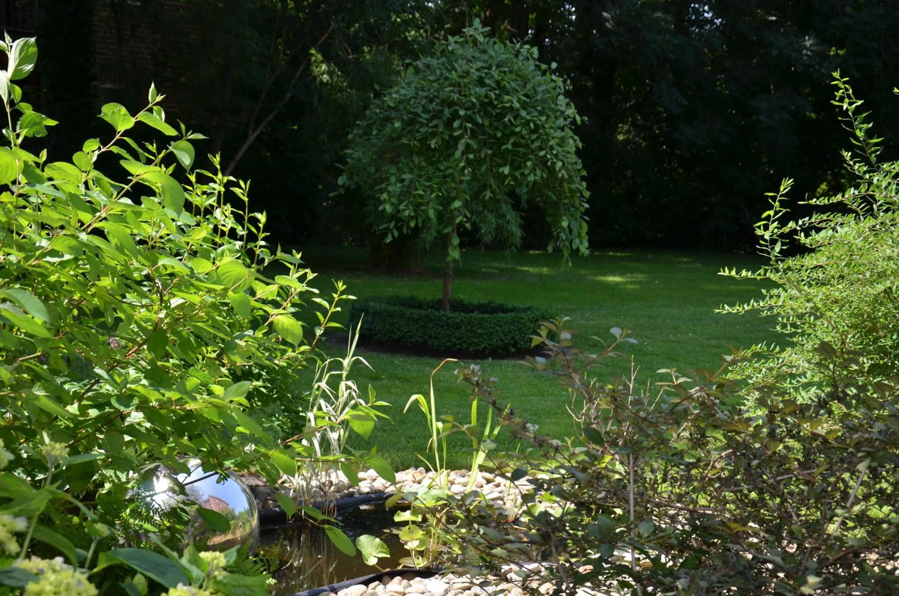 Garden in Hotel Aquamarin