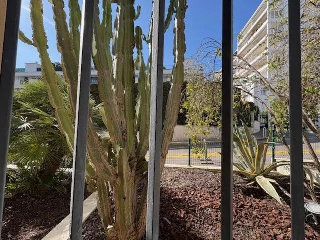 Hôtel Gallia Cannes