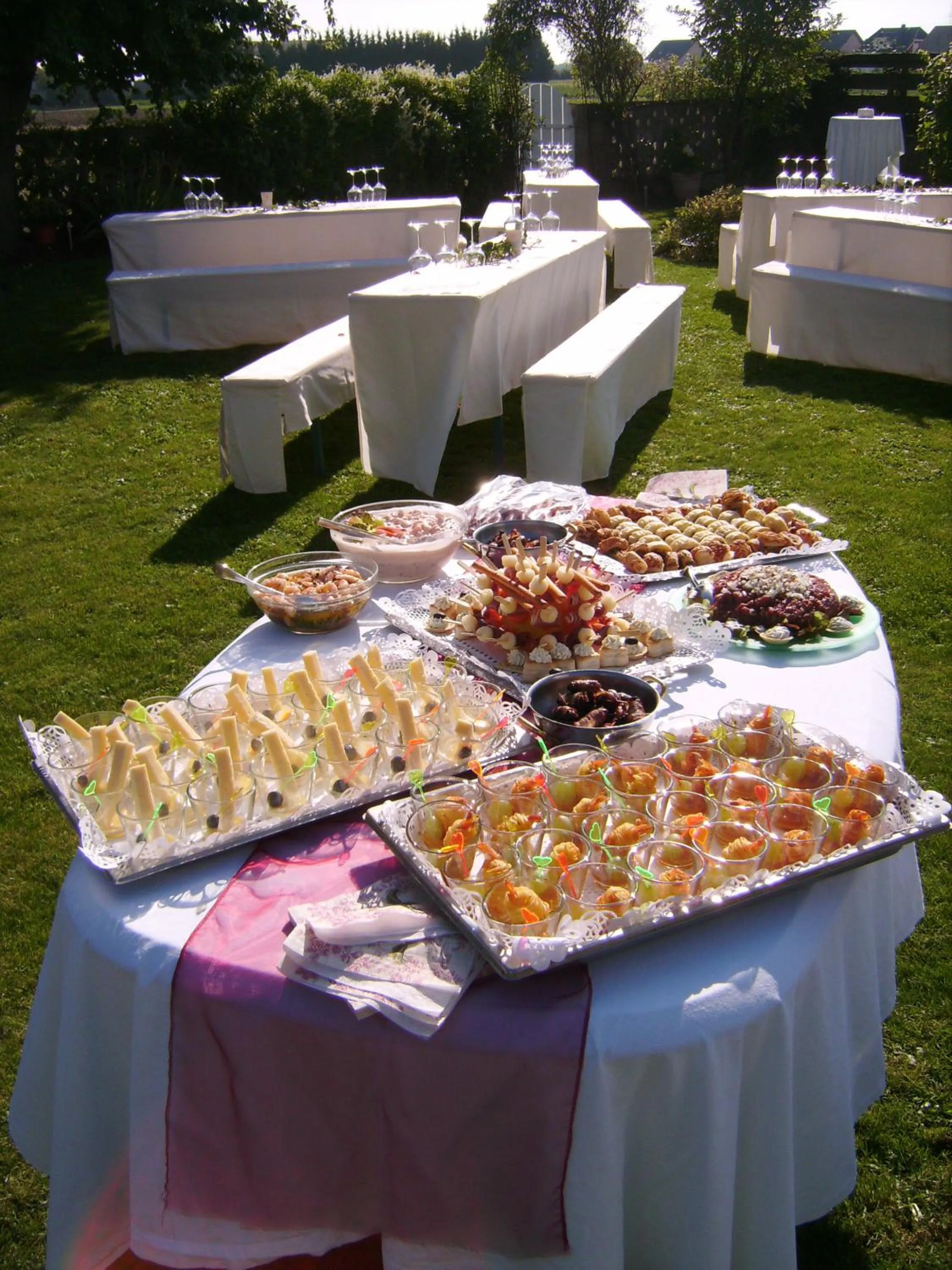 Garden in Hotel Goldbächel