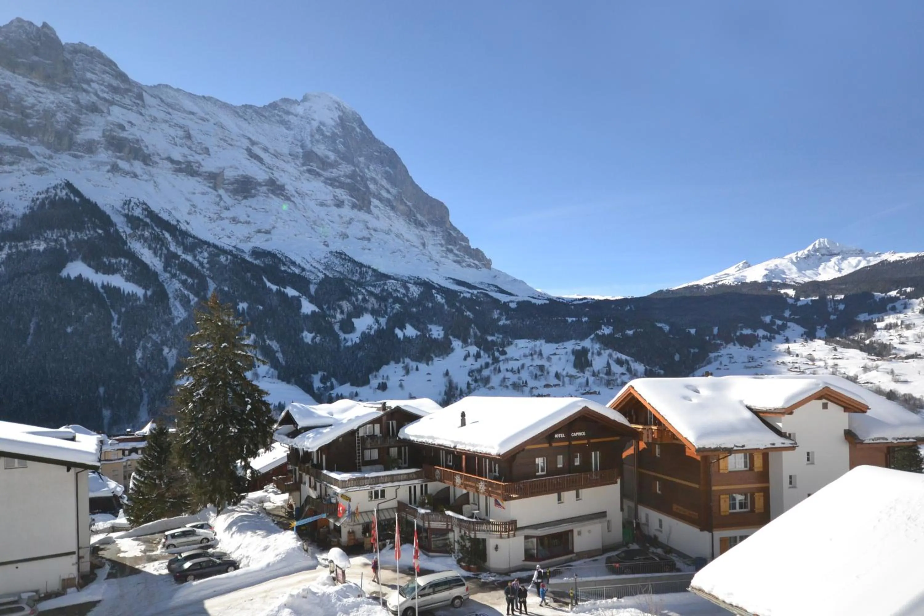 Facade/entrance in Hotel Caprice - Grindelwald