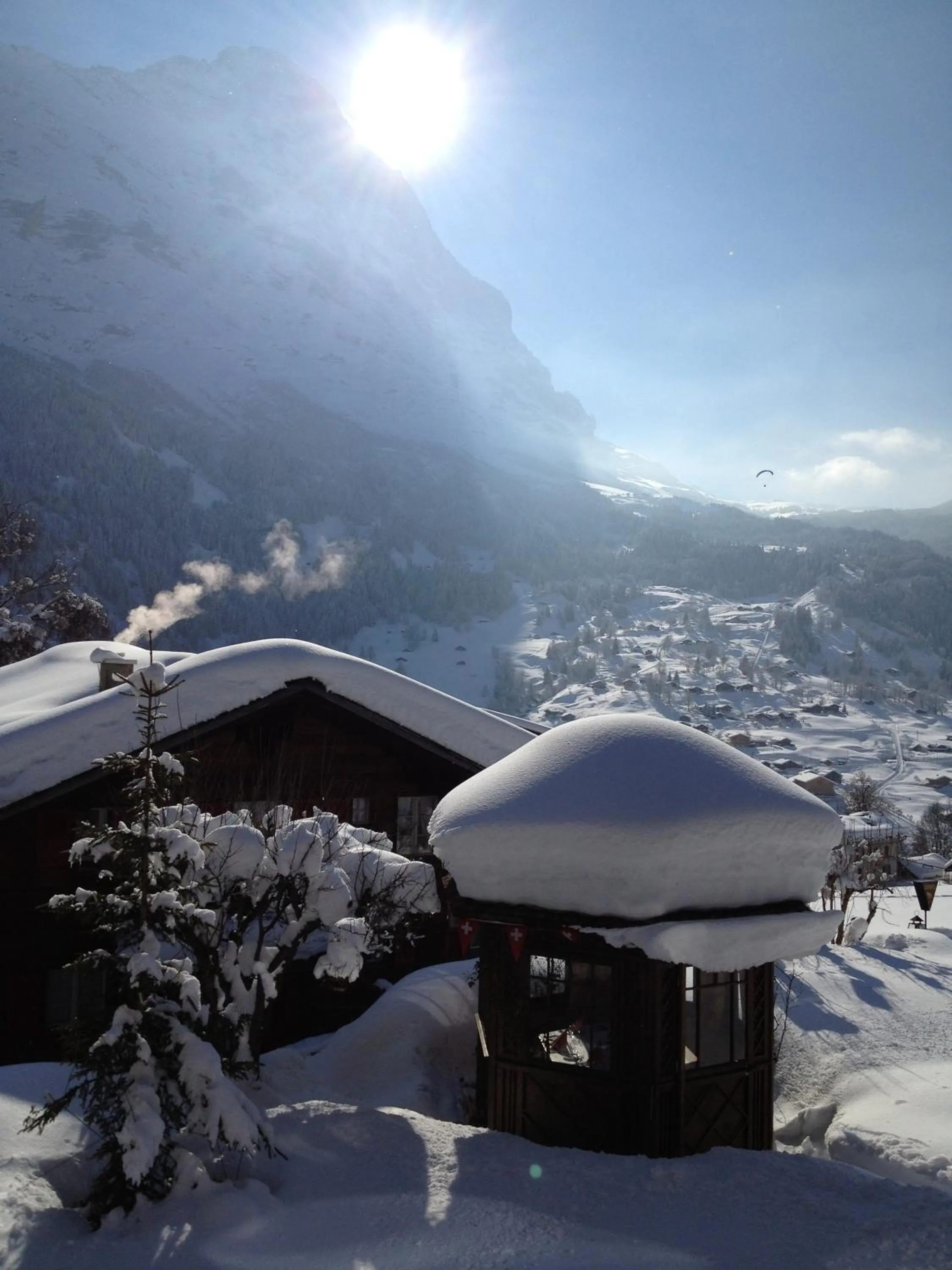 Area and facilities in Hotel Caprice - Grindelwald