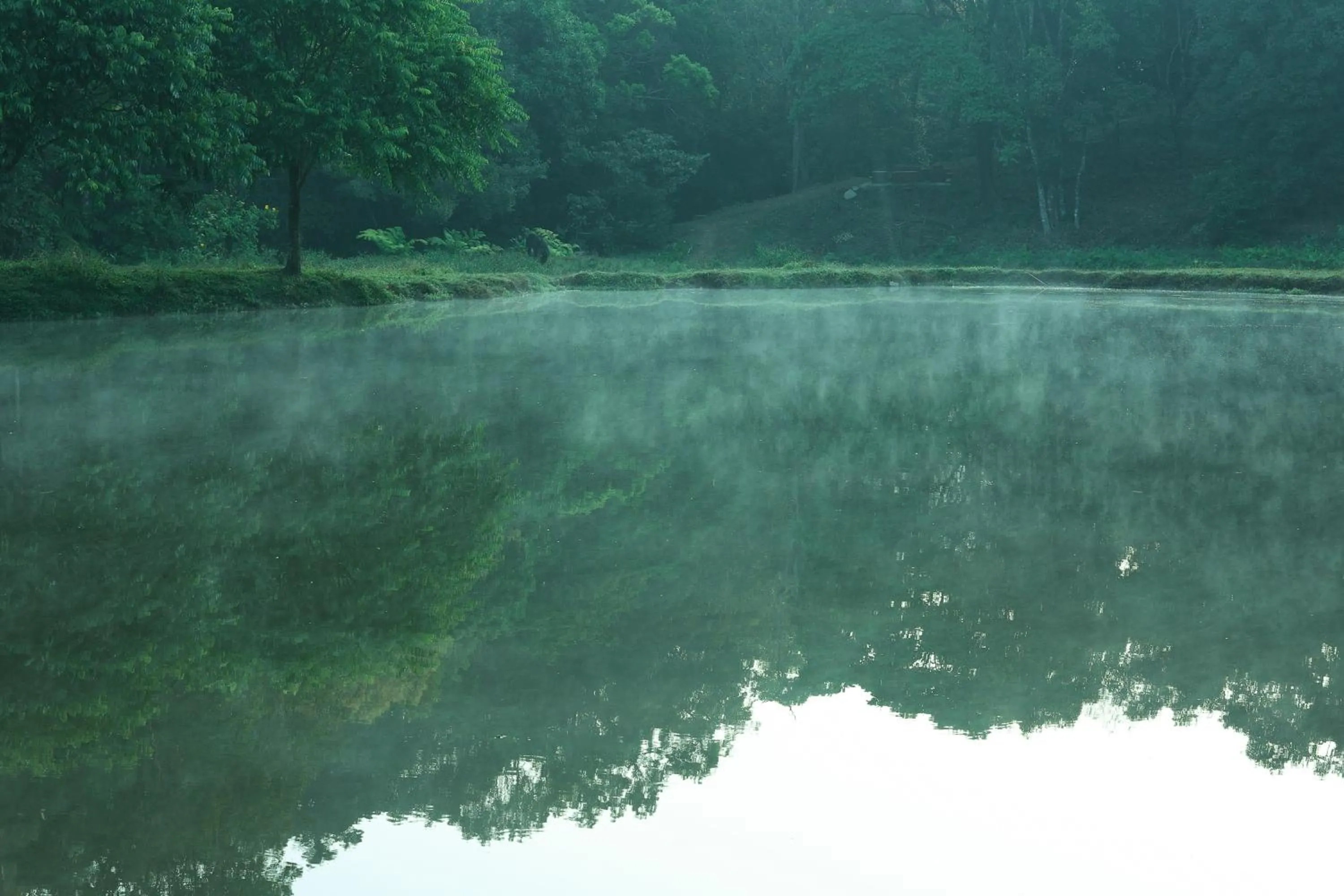 Natural landscape in Three Hills Resort Coorg