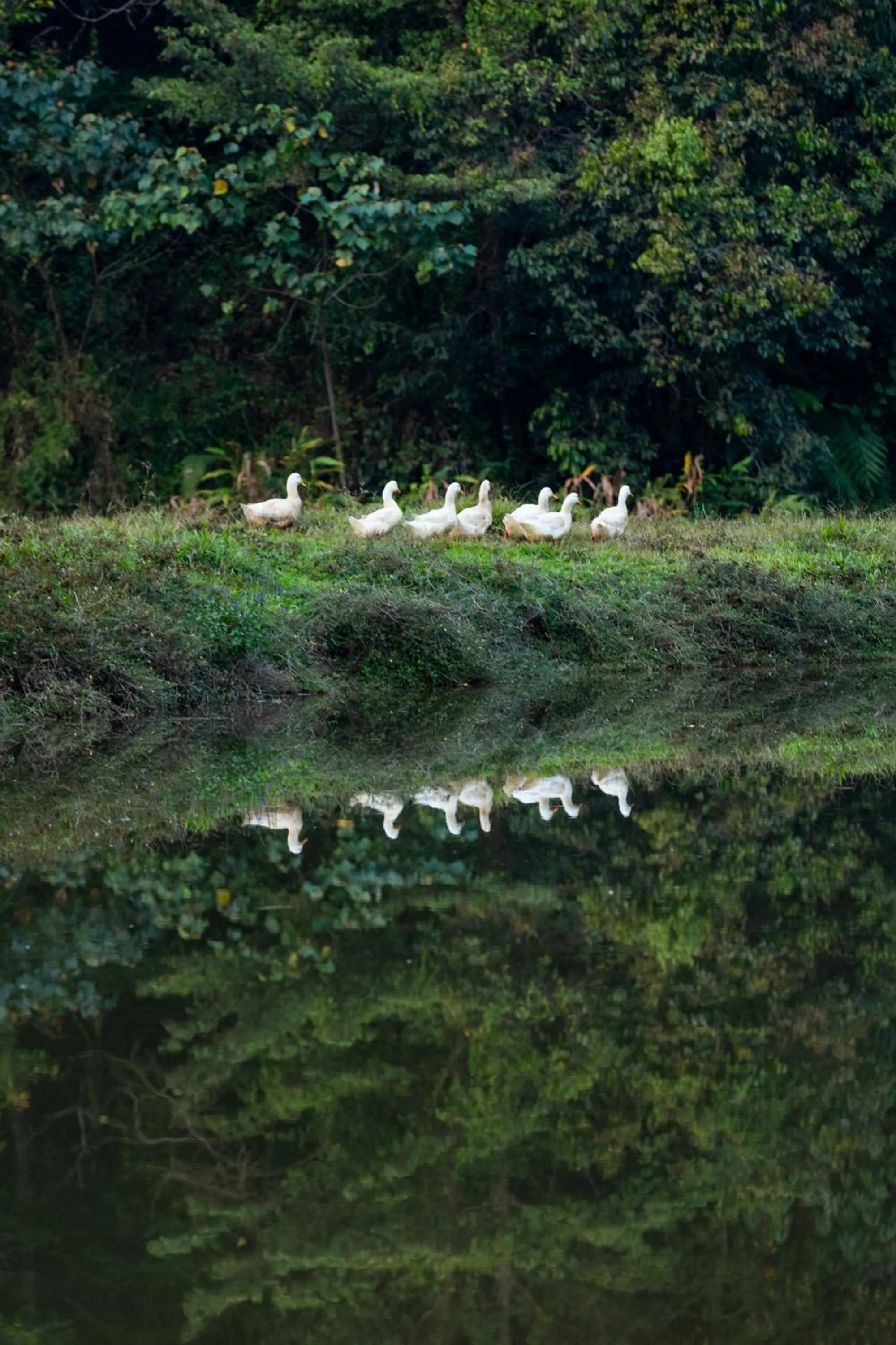 Natural landscape in Three Hills Resort Coorg