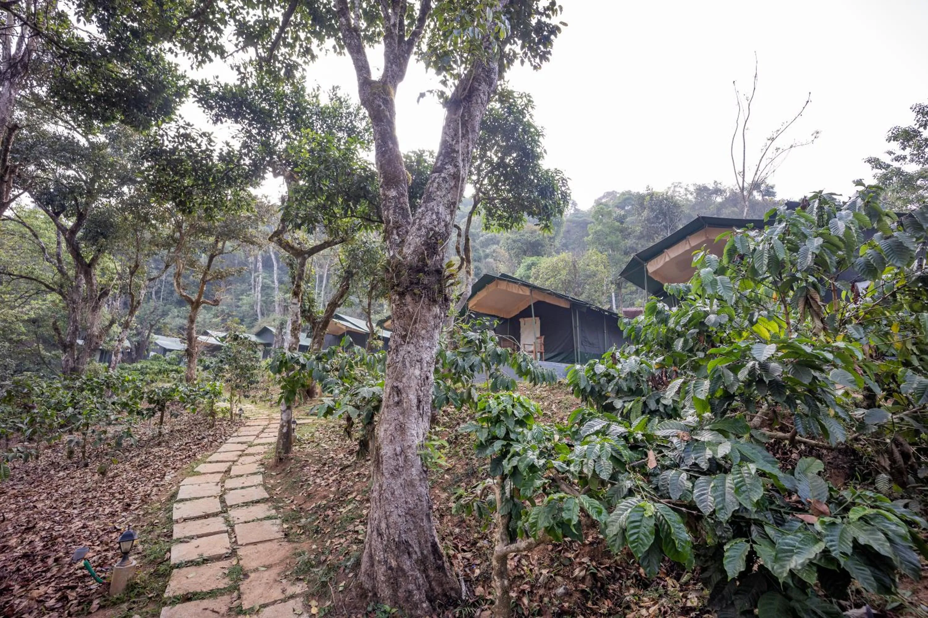Natural landscape in Three Hills Resort Coorg