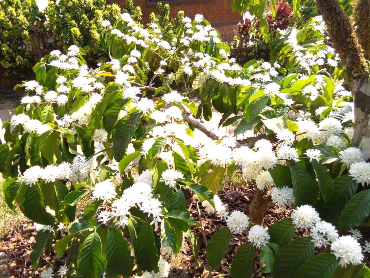 Natural landscape in Three Hills Resort Coorg