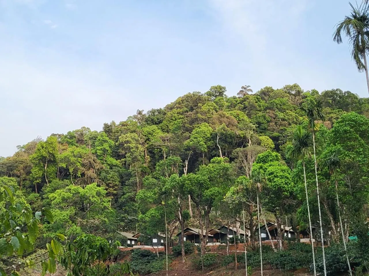 Natural landscape in Three Hills Resort Coorg