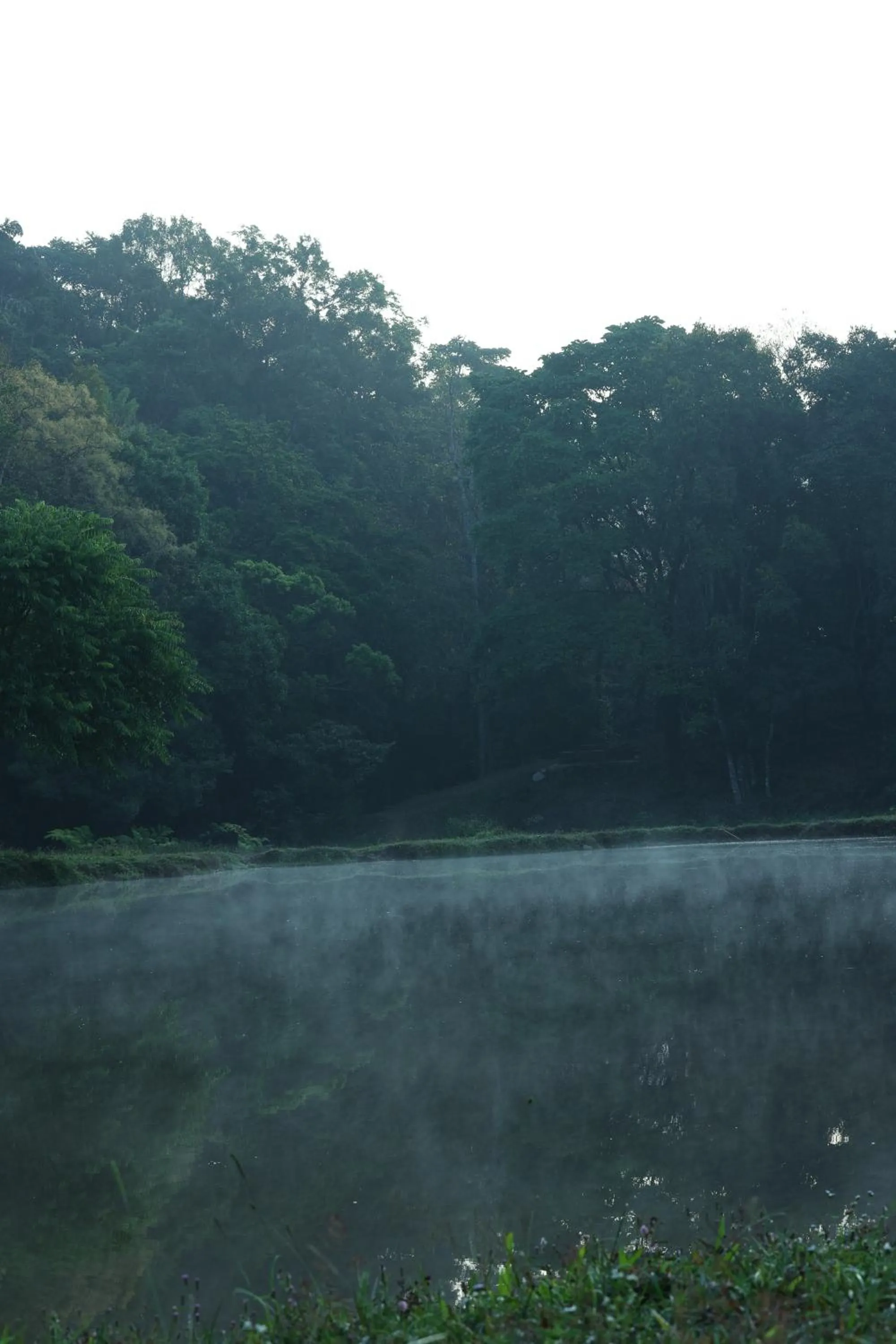 Natural landscape in Three Hills Resort Coorg