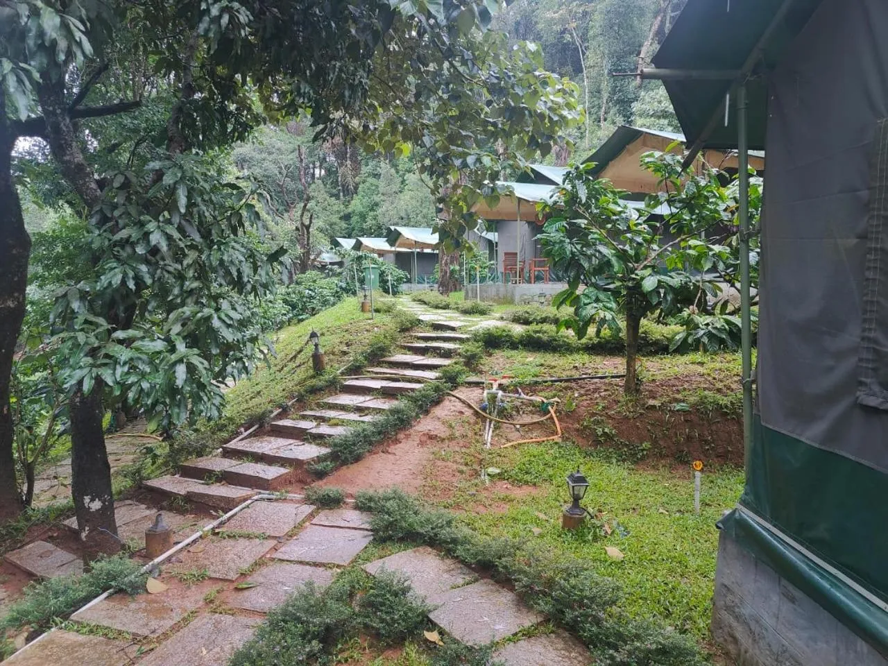 Natural landscape in Three Hills Resort Coorg
