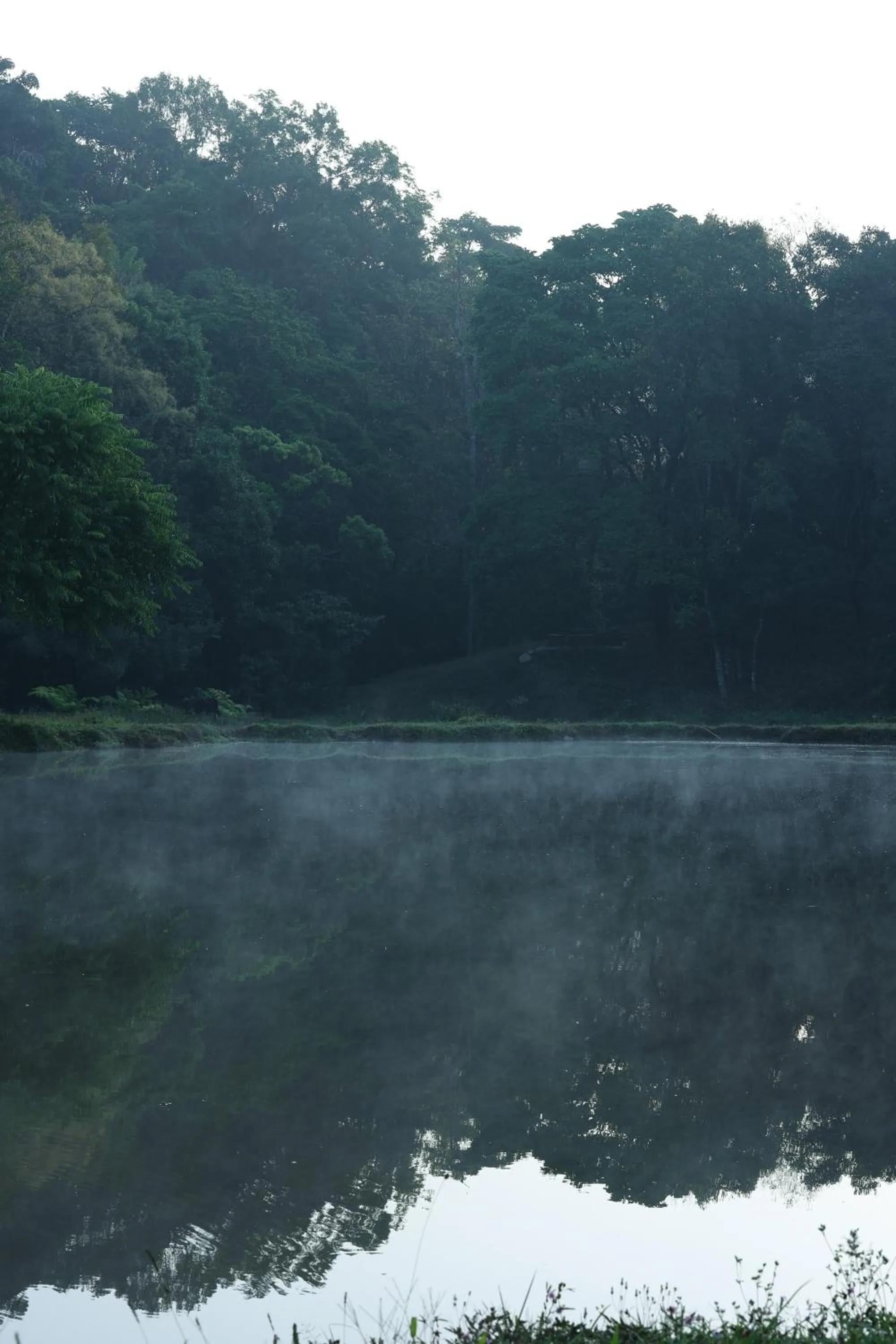 Natural landscape in Three Hills Resort Coorg