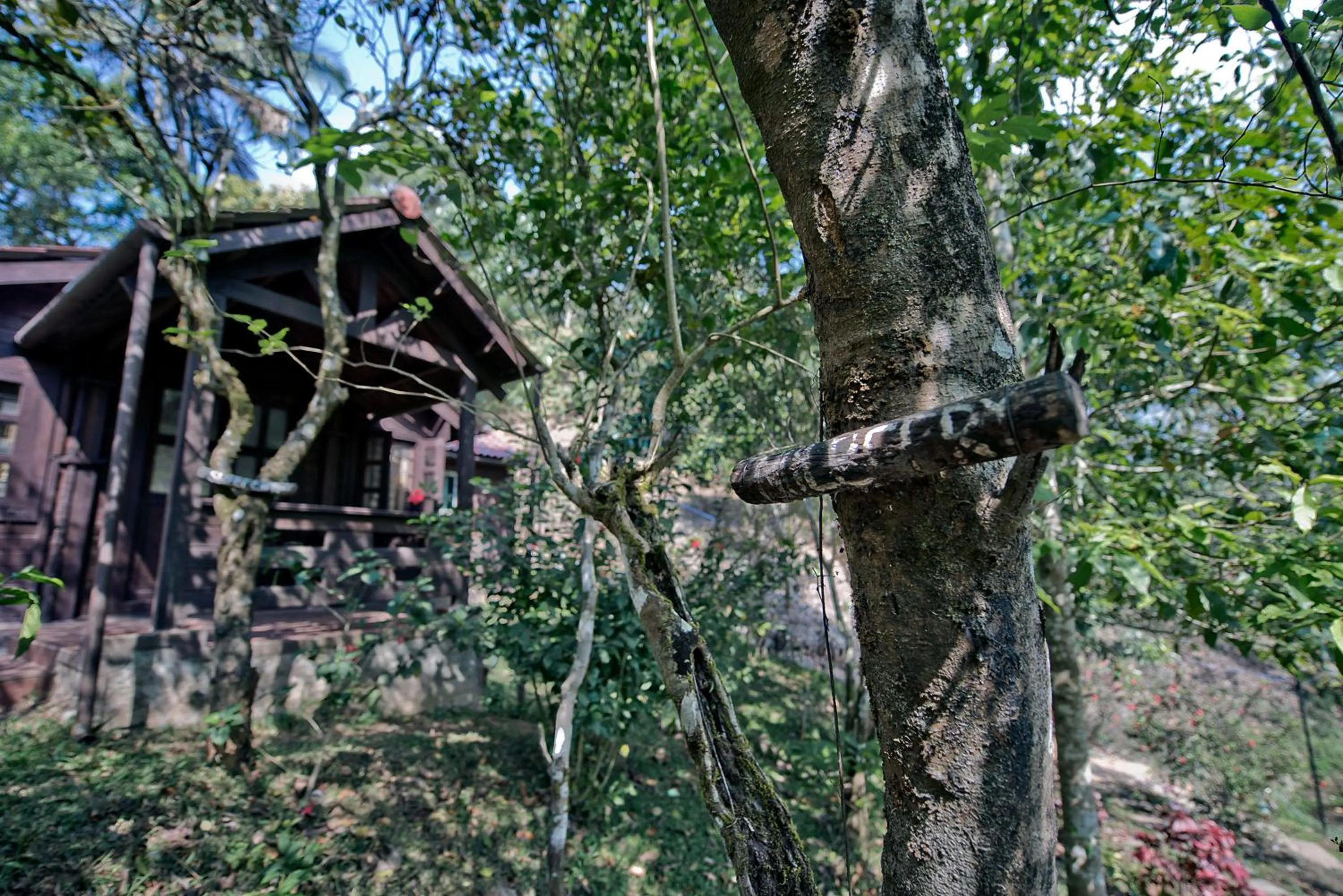 Other in Three Hills Resort Coorg