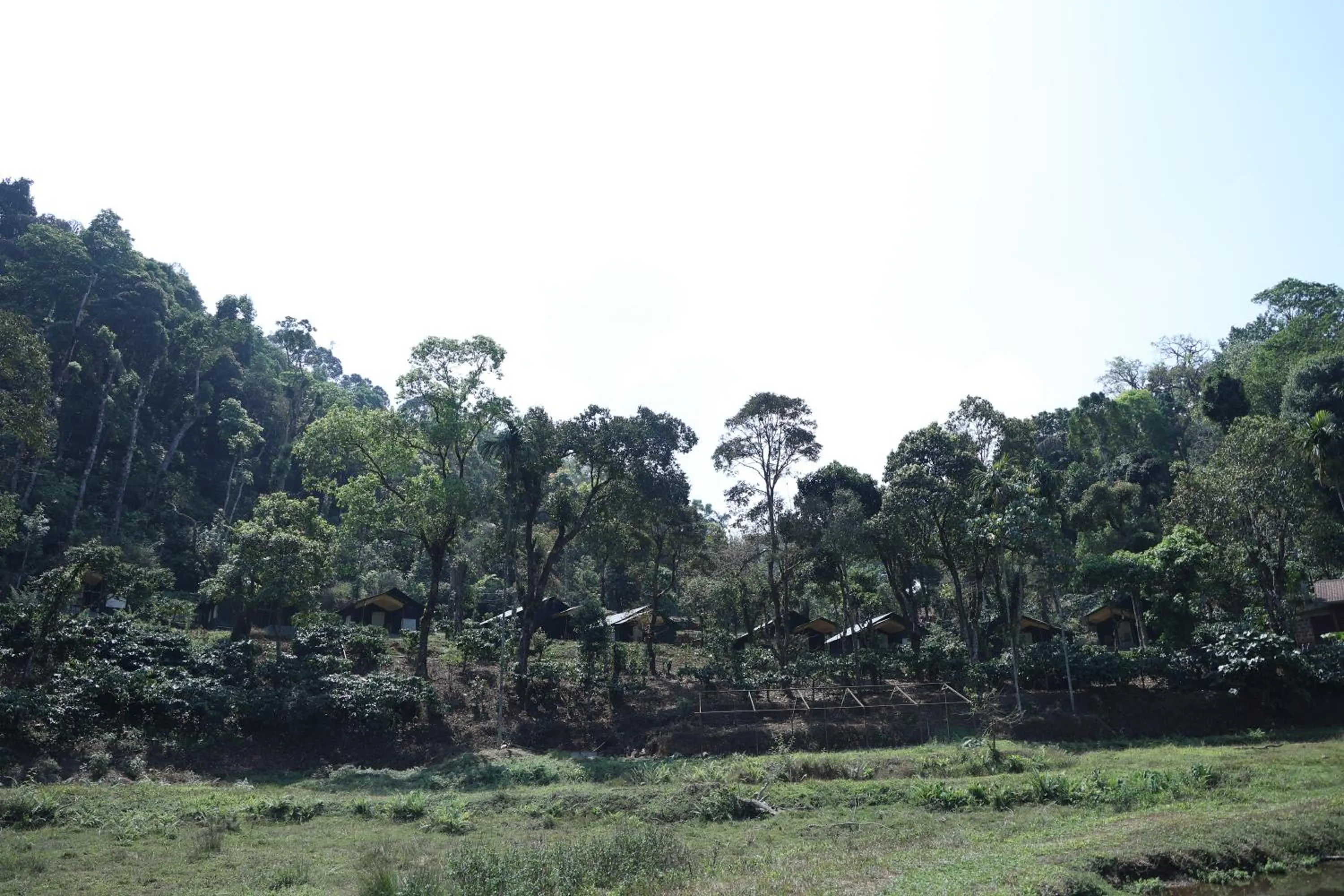 Natural landscape in Three Hills Resort Coorg