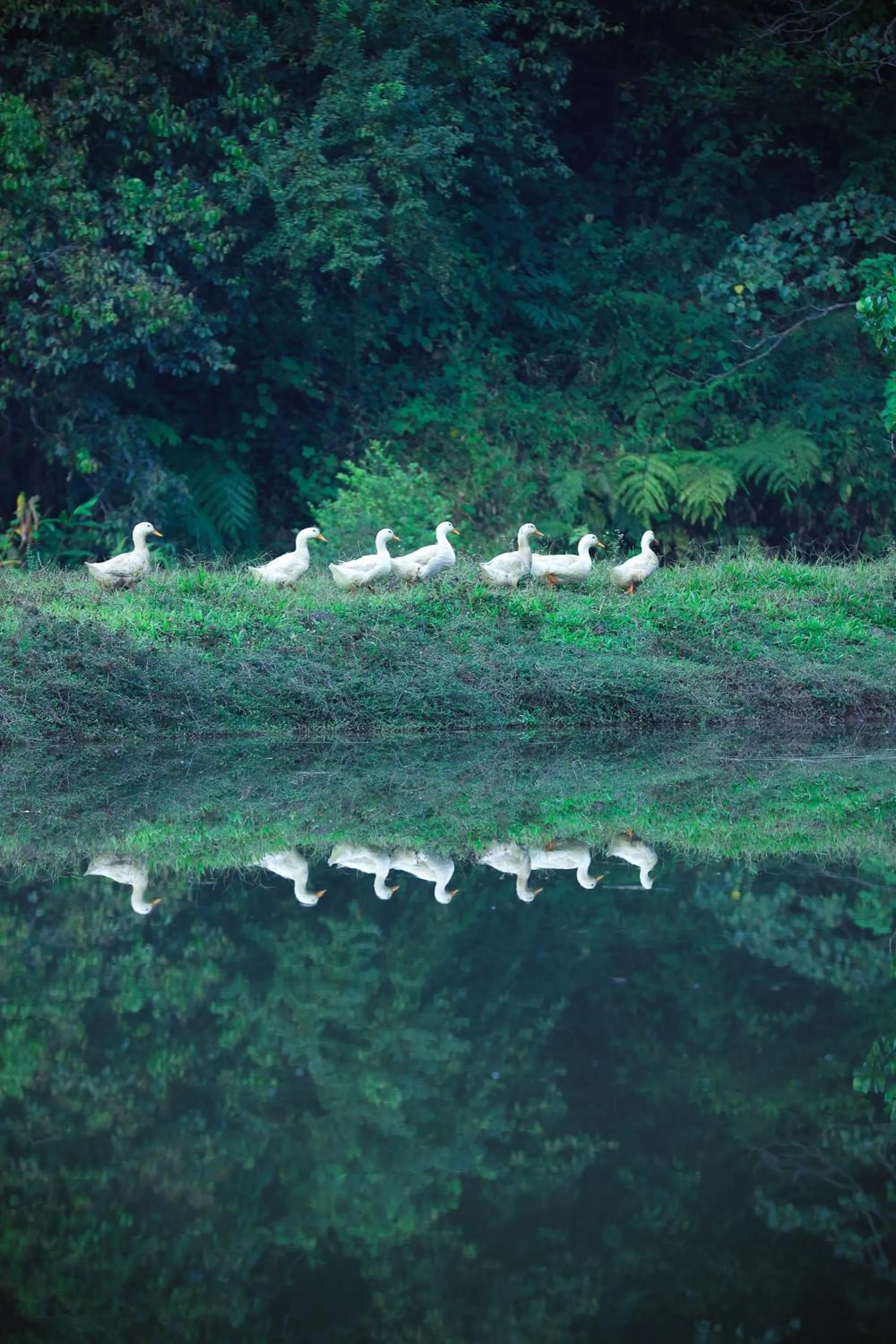 Natural landscape in Three Hills Resort Coorg