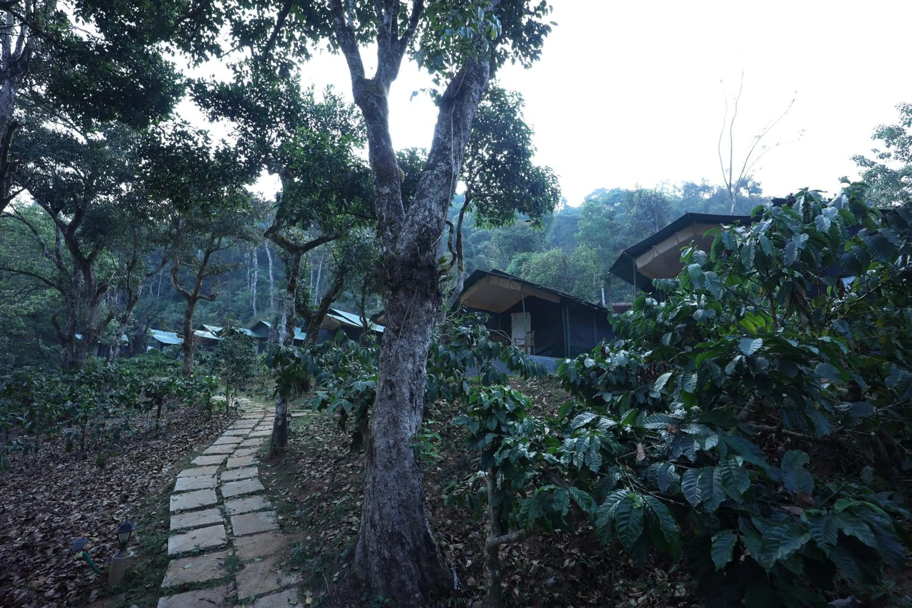 Natural landscape in Three Hills Resort Coorg