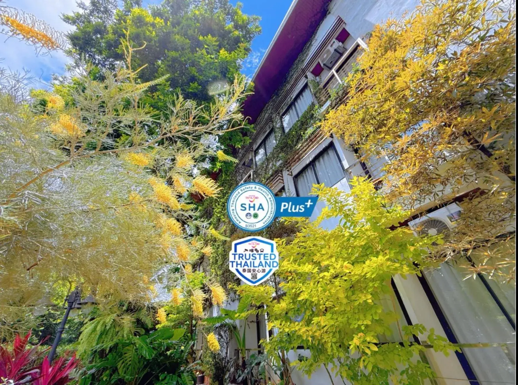 Property building in Ideo Phuket Hotel - Naiyang Beach Property building in Ideo Phuket Hotel - Naiyang Beach