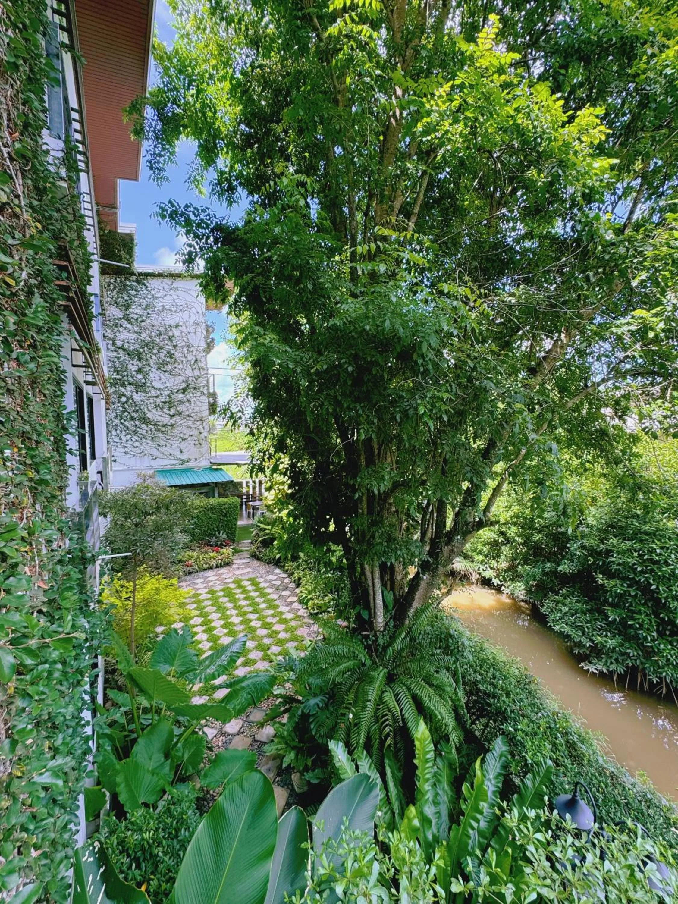 Garden in Ideo Phuket Hotel - Naiyang Beach