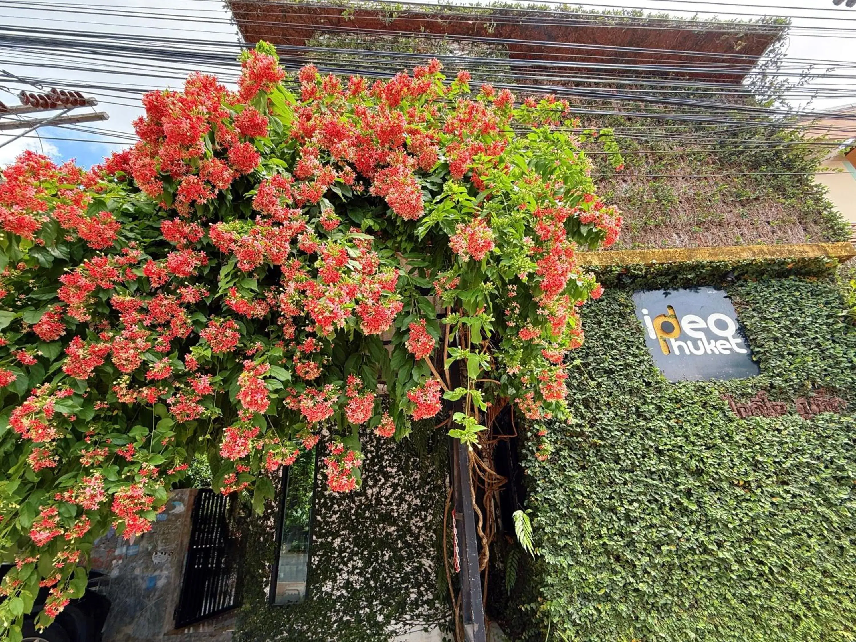 Property building in Ideo Phuket Hotel - Naiyang Beach Property building in Ideo Phuket Hotel - Naiyang Beach