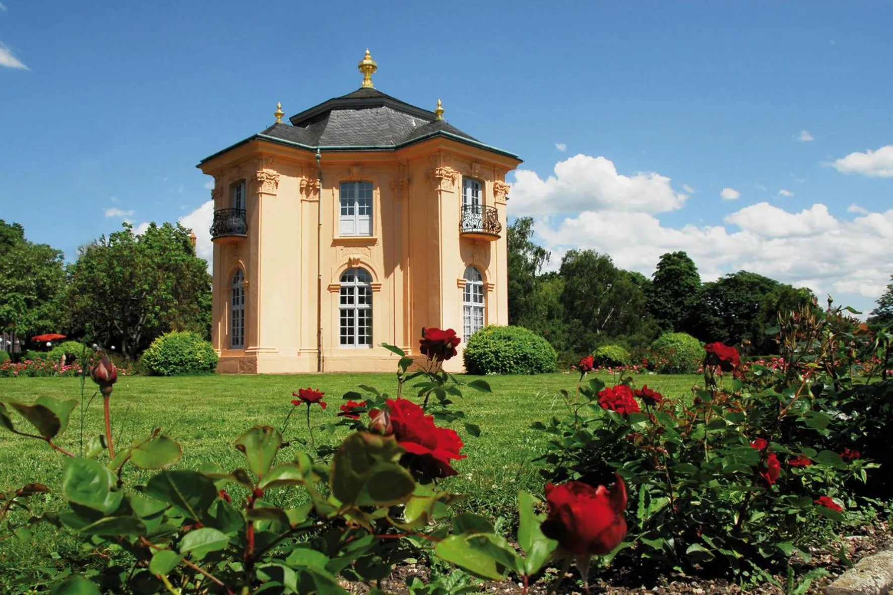 Area and facilities in Hotel Schwert
