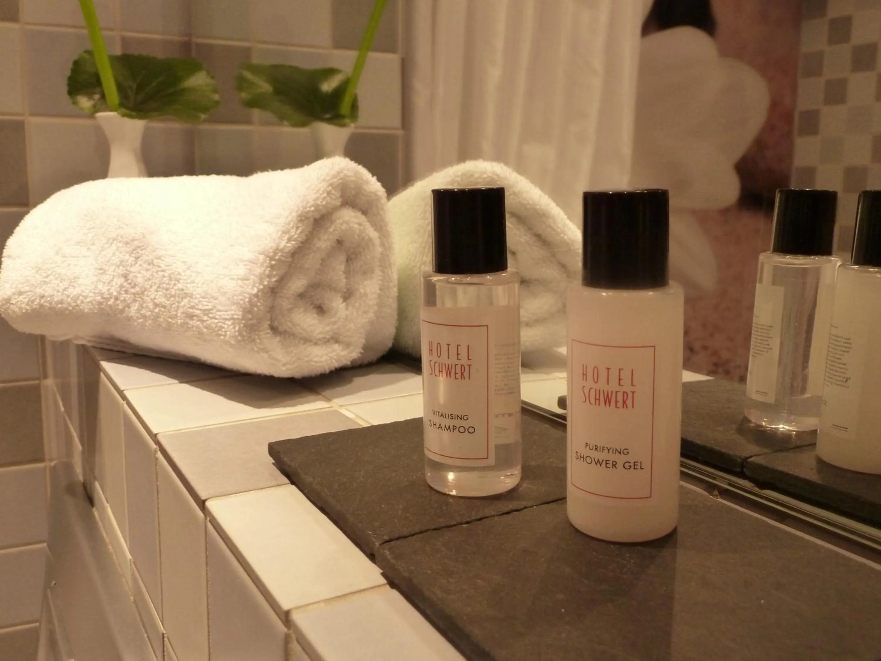 Other in Hotel Schwert