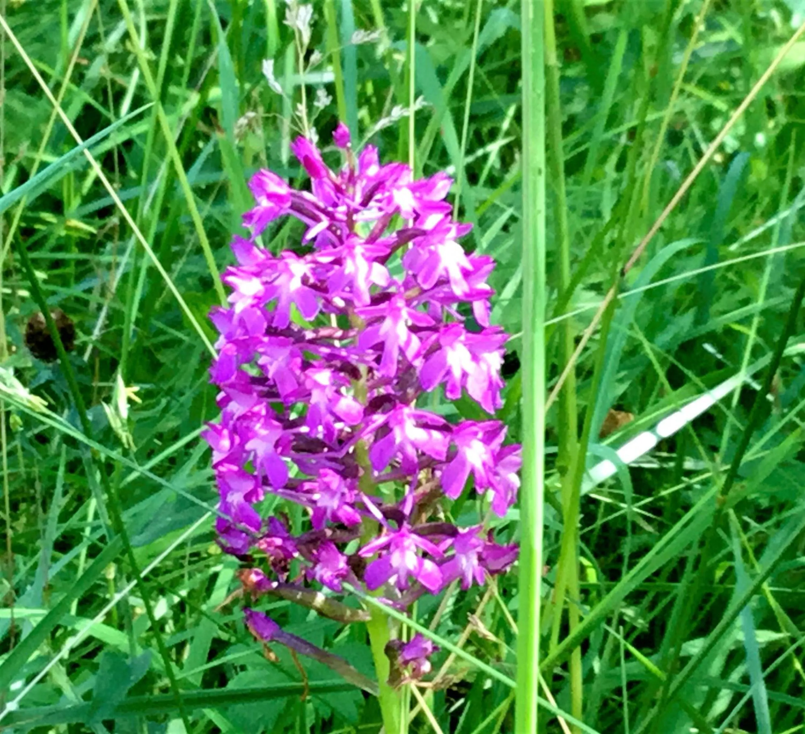 Neighbourhood in Auberge de la Sagne