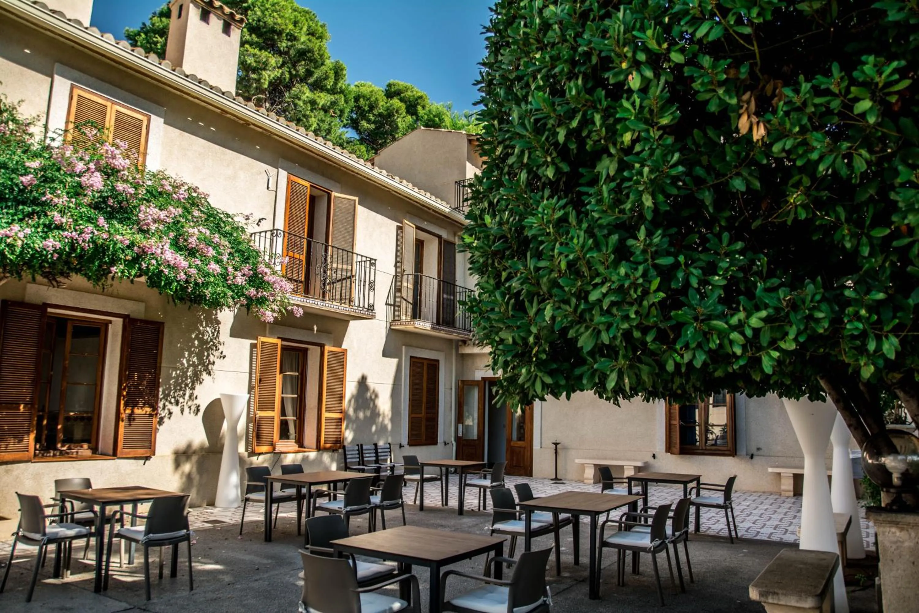 Patio in Hotel Torre San Juan