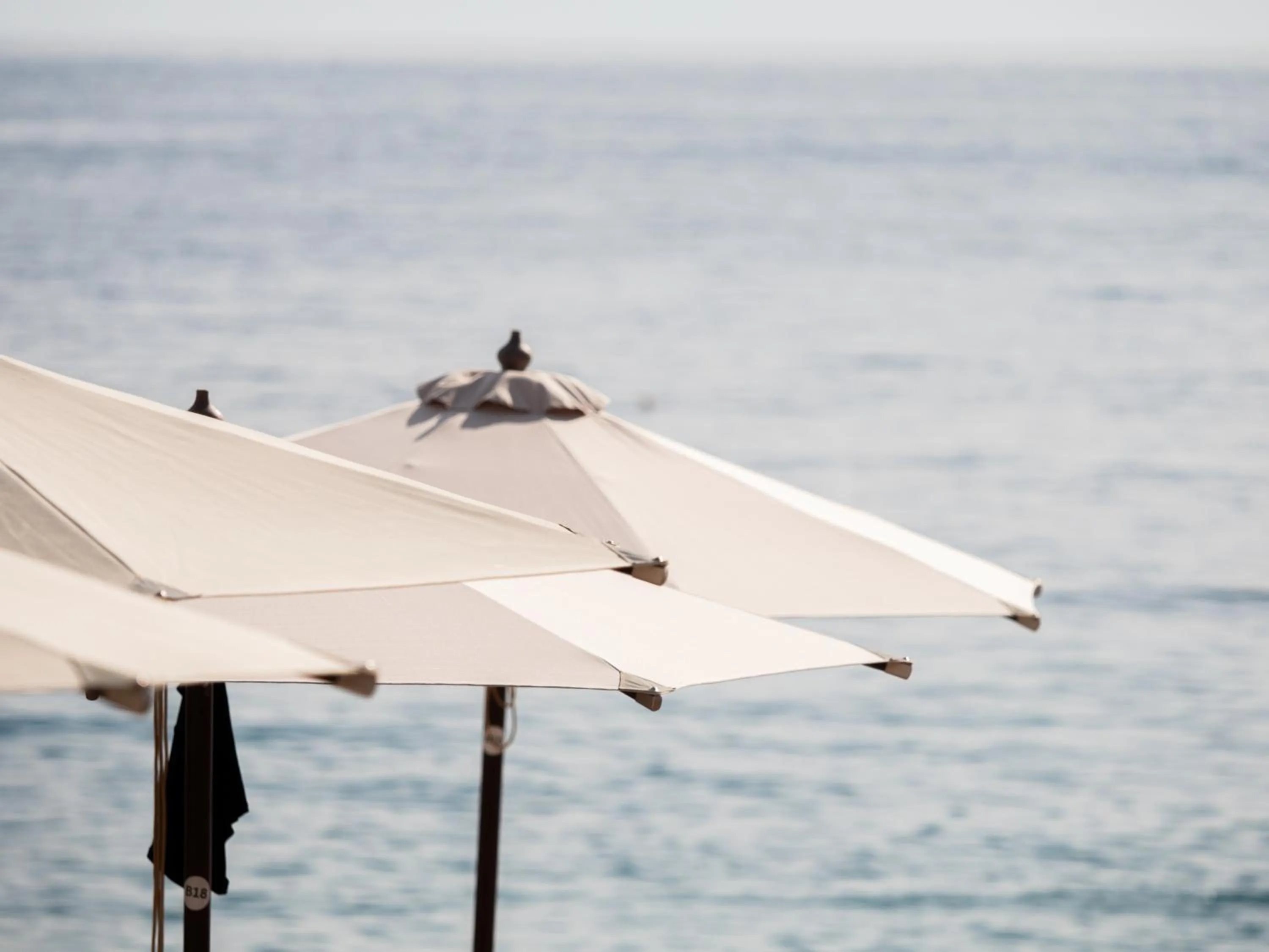 Spring in Nia Boutique Hotel by Rapo's Resort