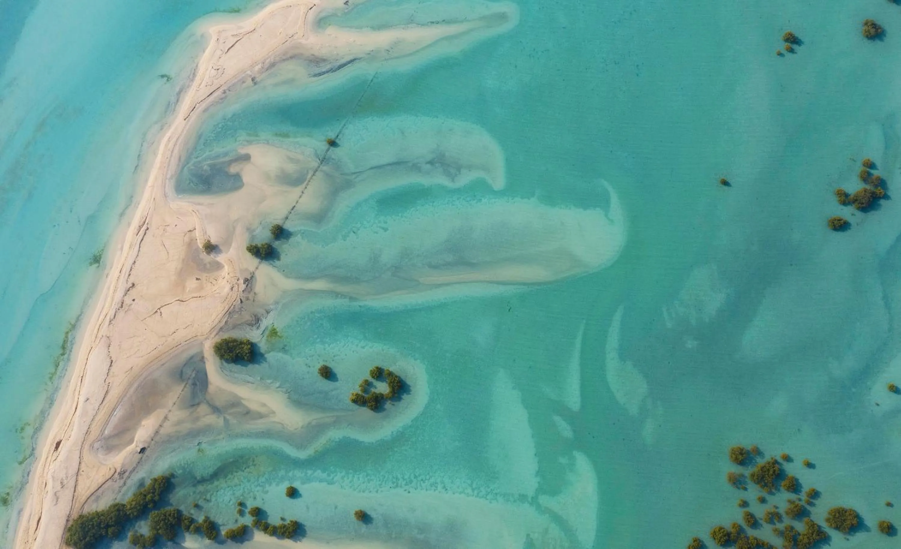 Neighbourhood in Anantara Desert Islands Resort & Spa