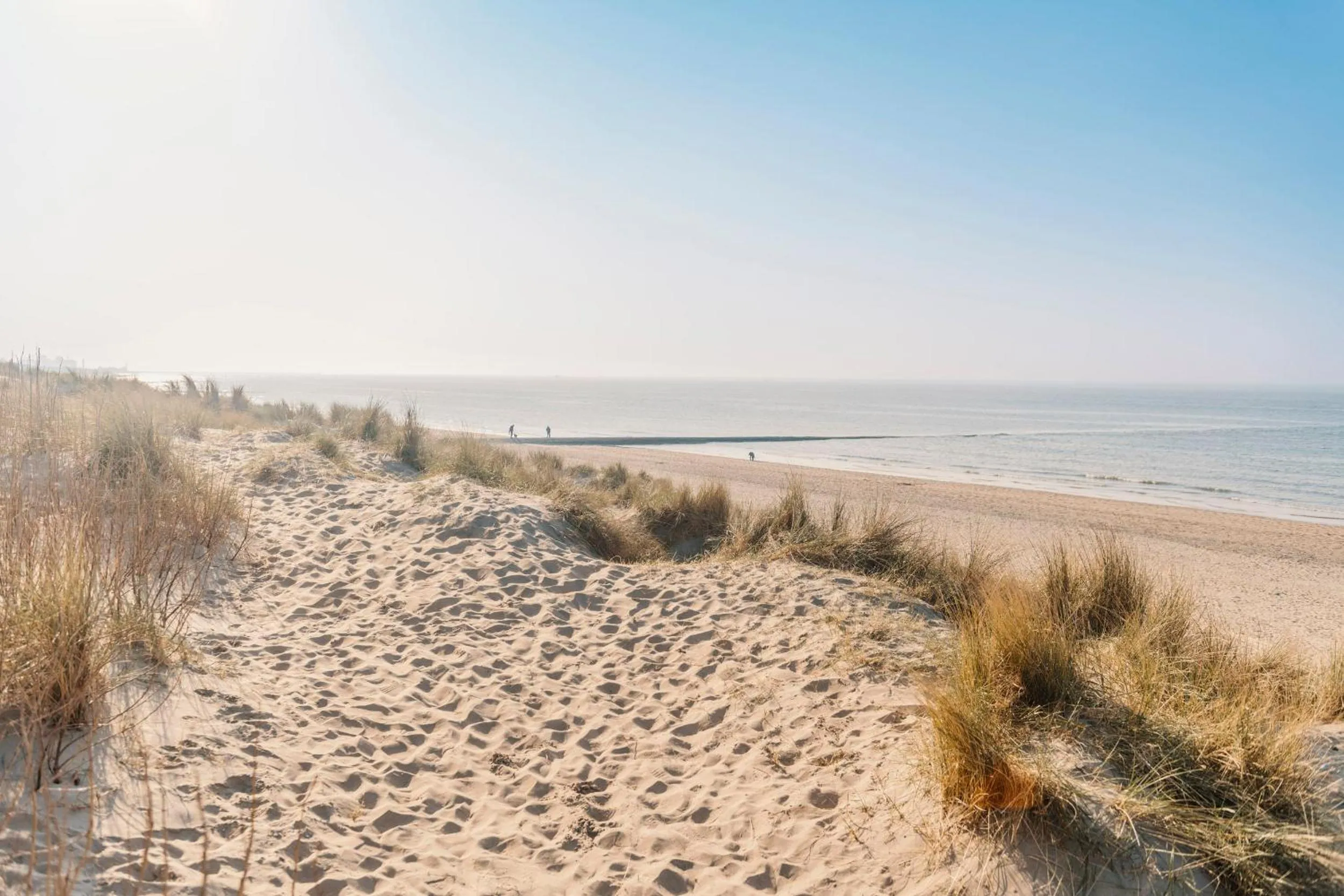 Area and facilities in Belcasa Beach Suites & Lofts Aparthotel