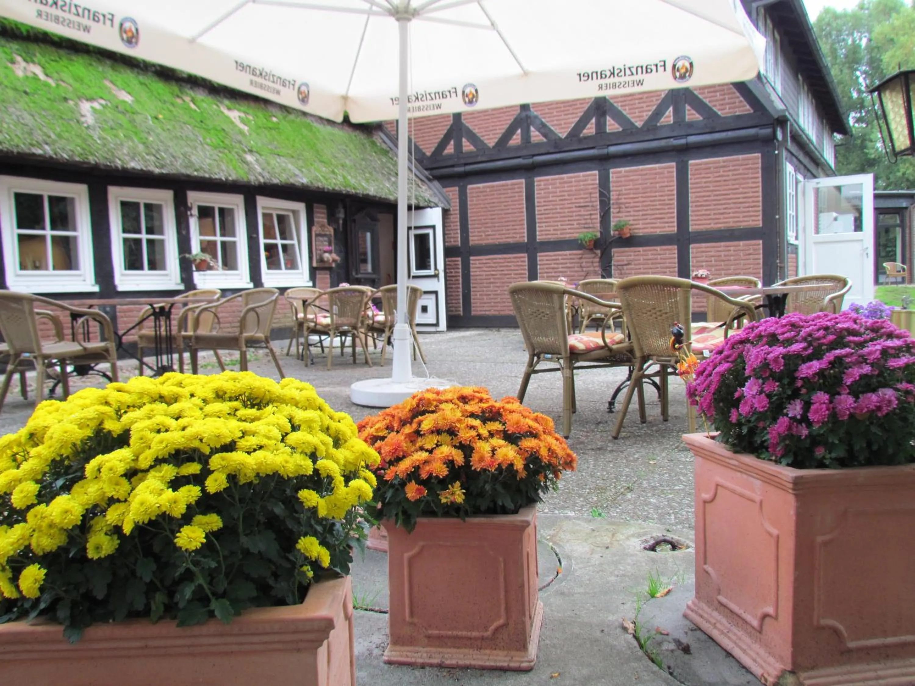 View (from property/room) in Ihr Ferien Hotel Brunnenhof