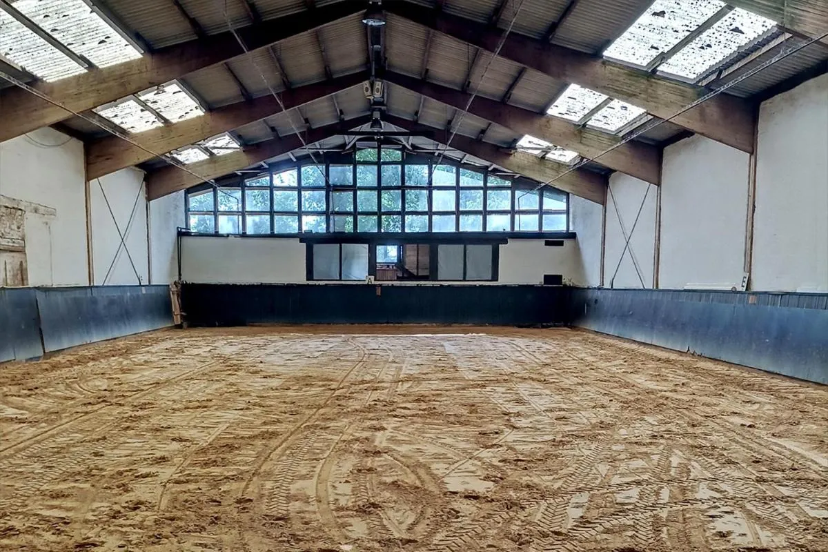 Horse-riding in Ihr Ferien Hotel Brunnenhof