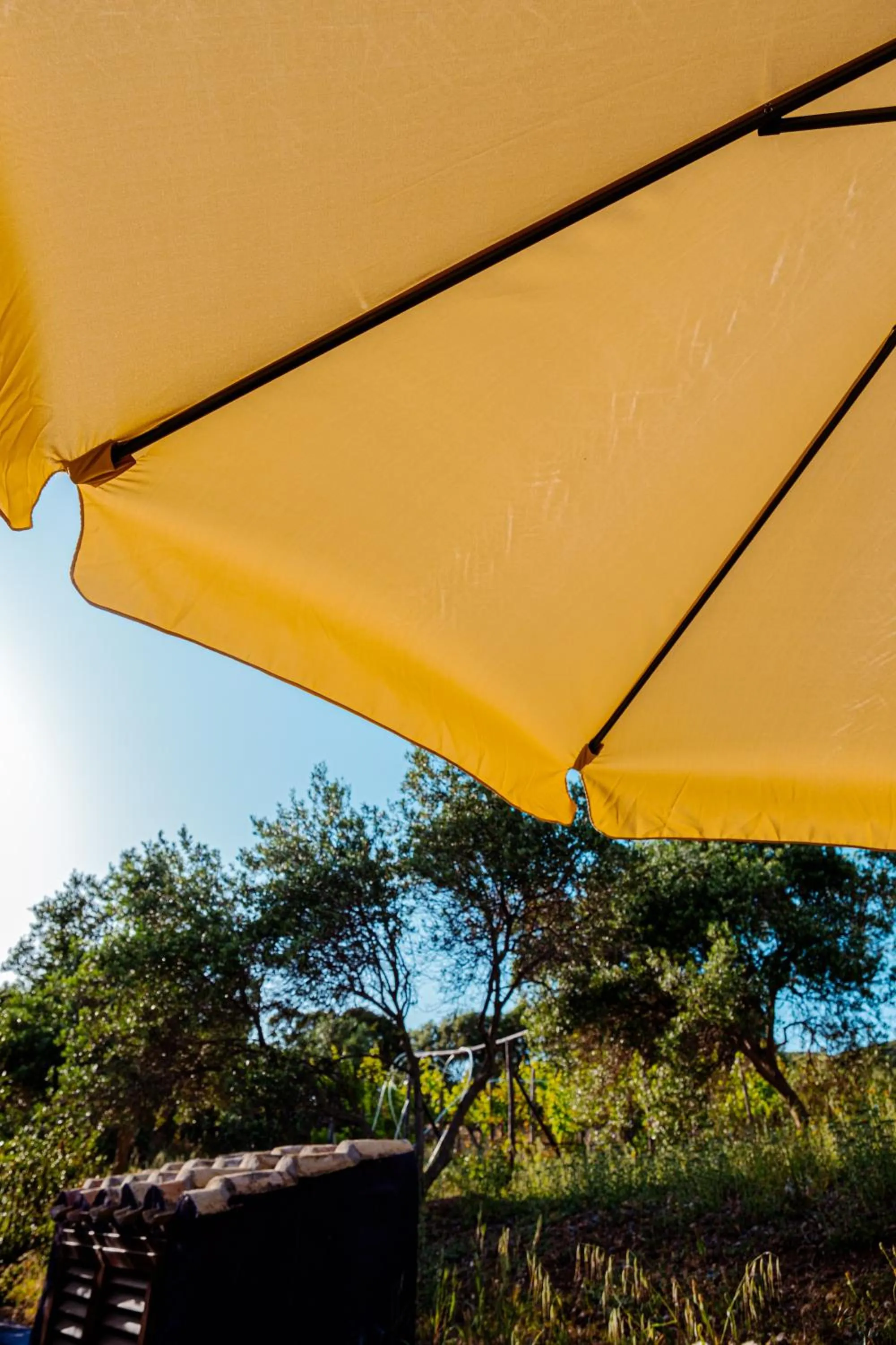 Garden in Funtana'e Mari