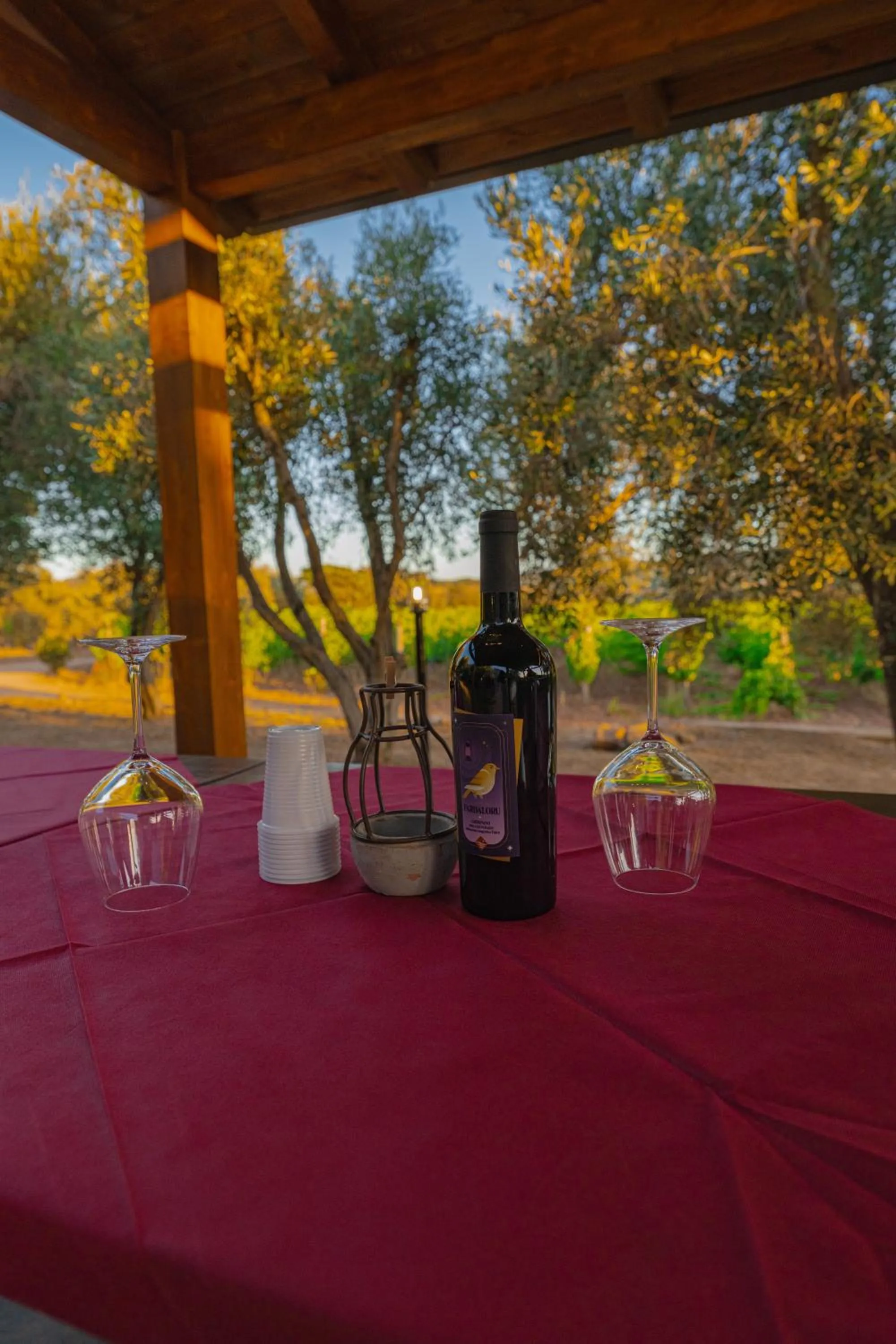 Garden in Funtana'e Mari