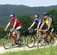 Cycling in Gasthof Schwarzer Bär