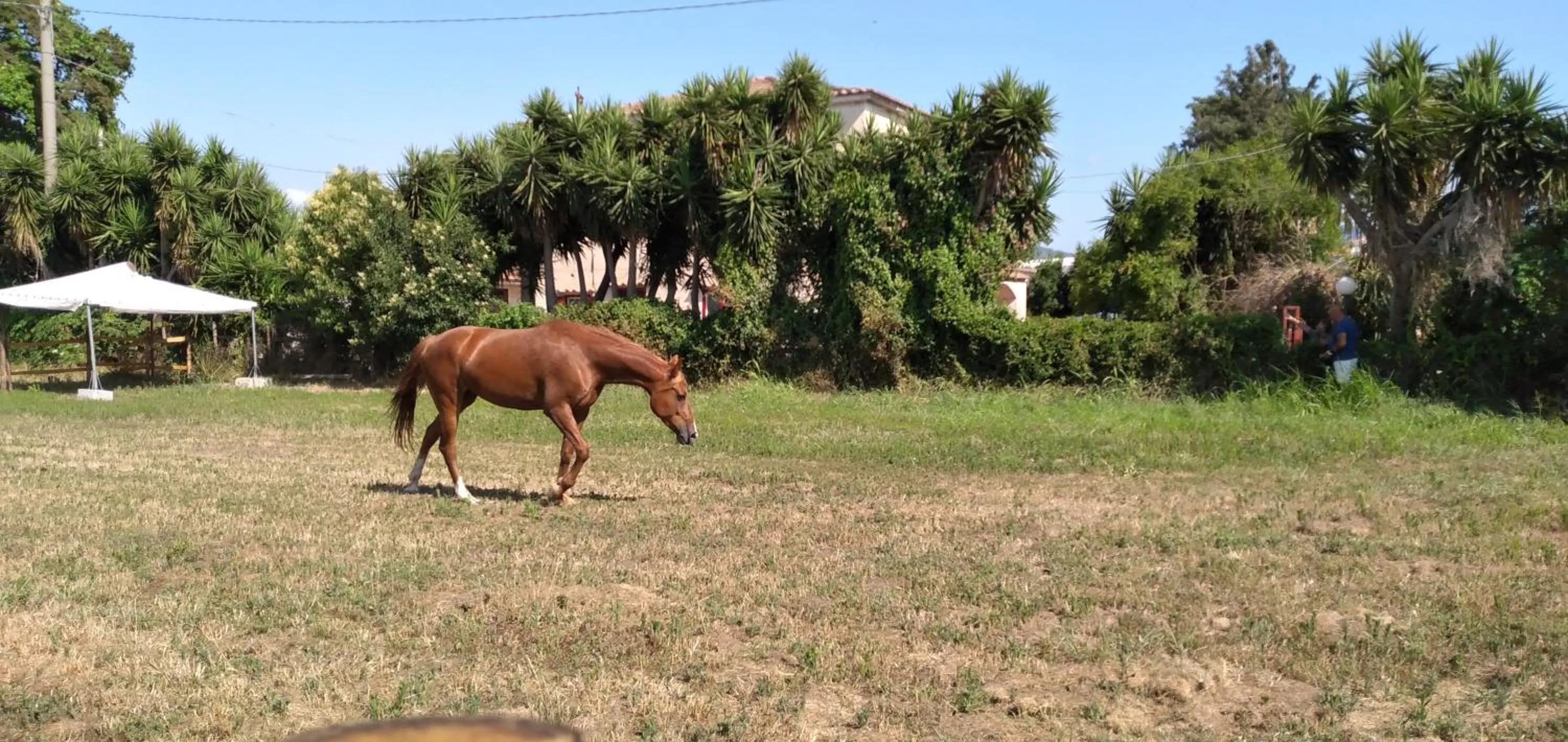 B&B Tenuta San Michele