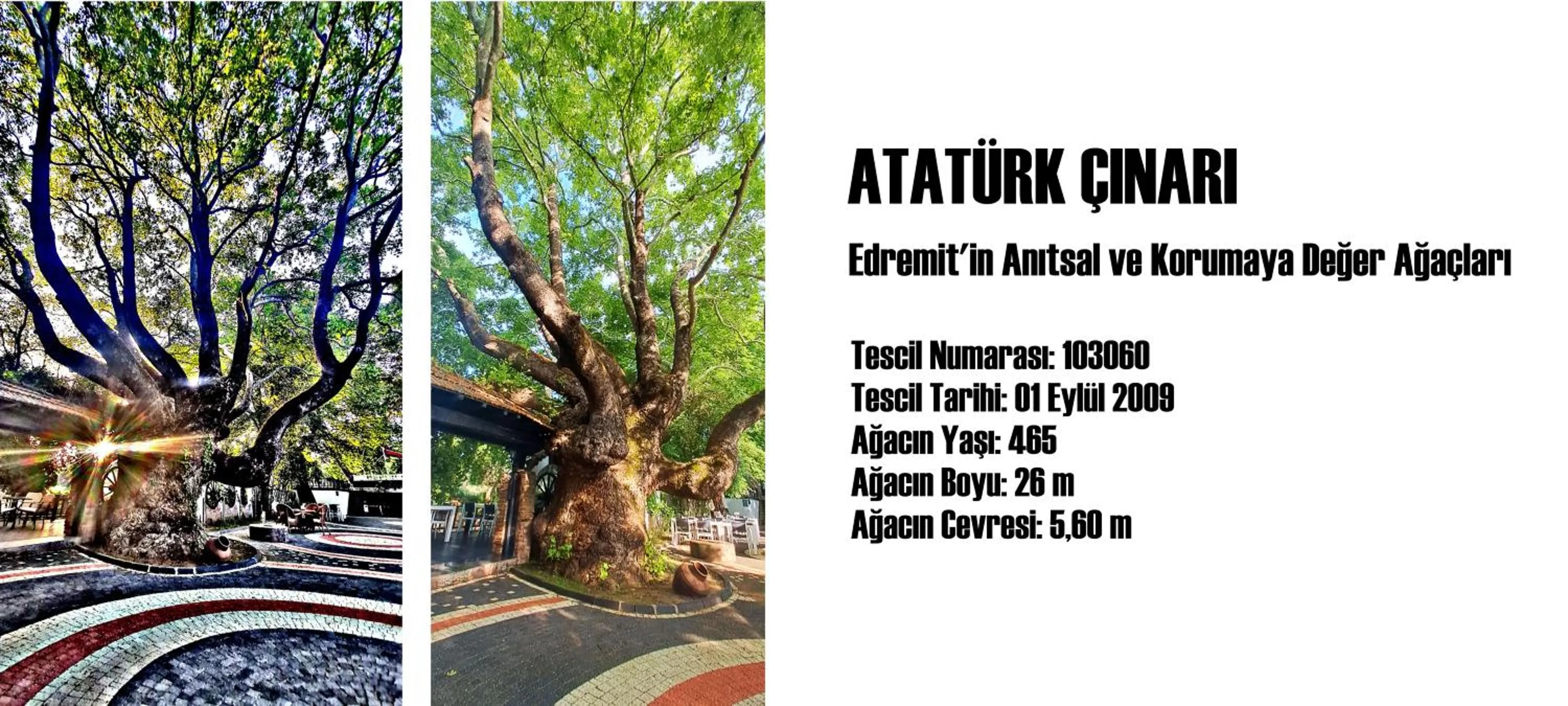 Natural landscape in Manastırhan Otel Kazdağları