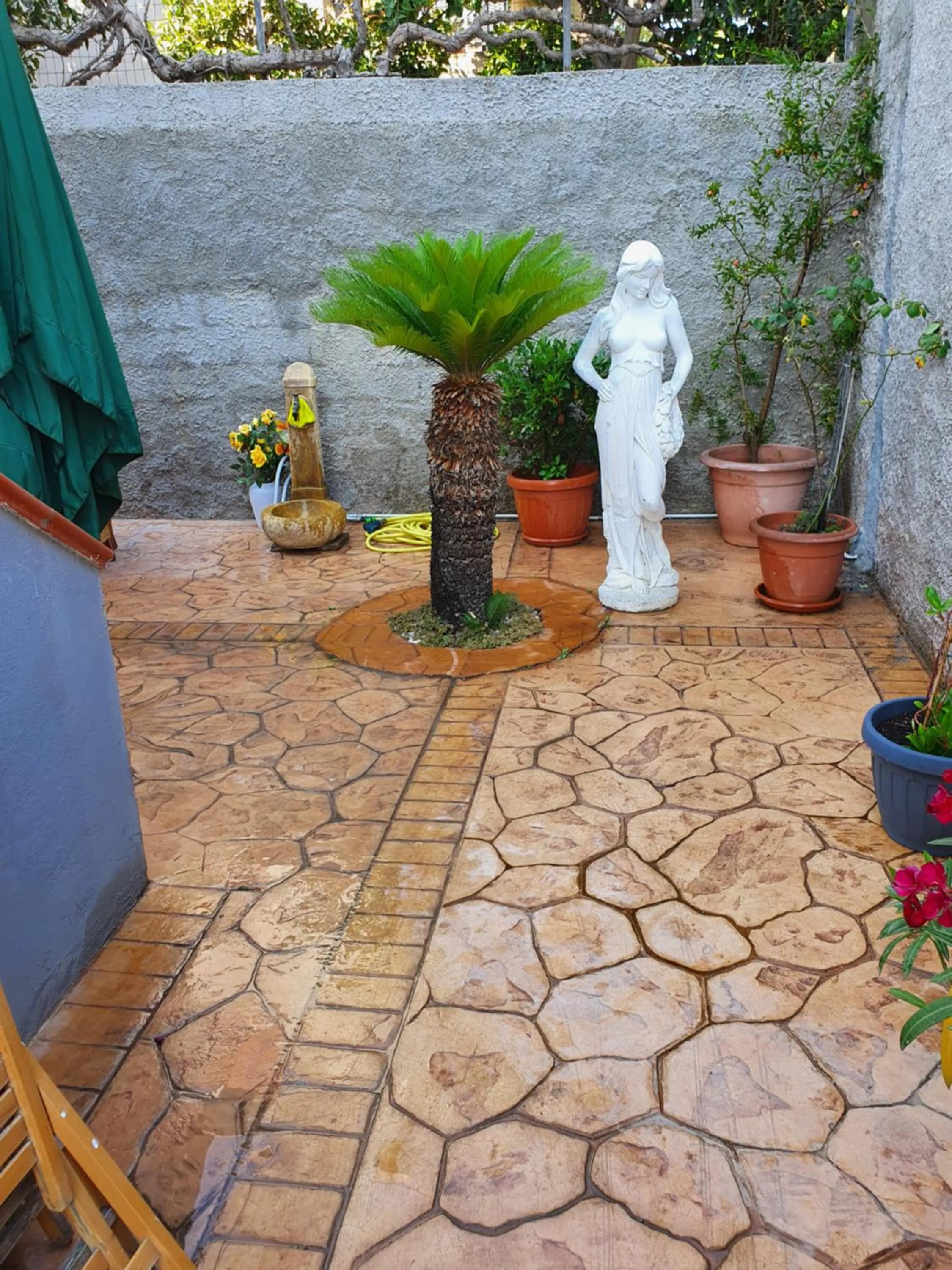 Garden in B&B Villa Terranova