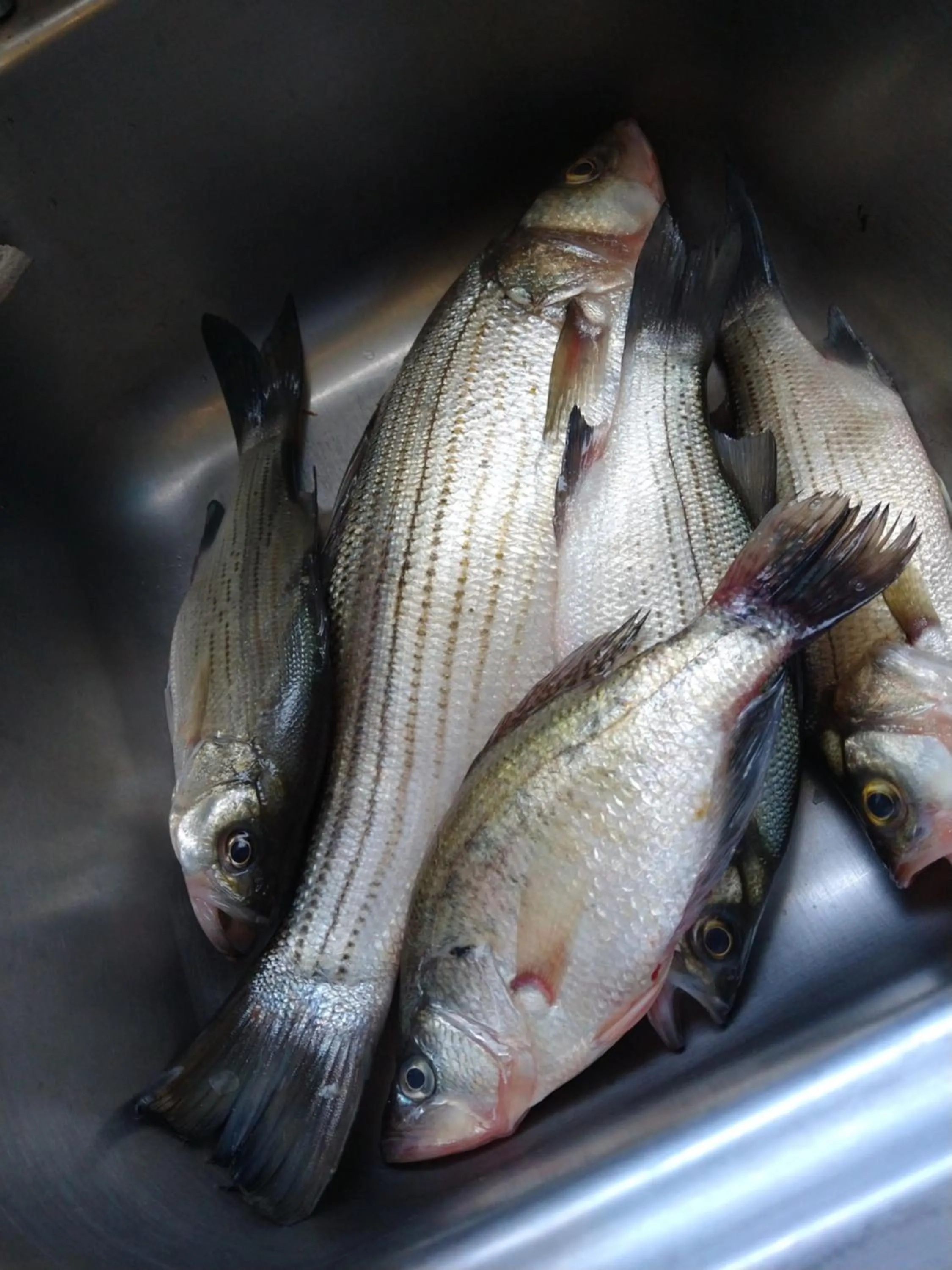 kitchen in Grandview Plaza Inn