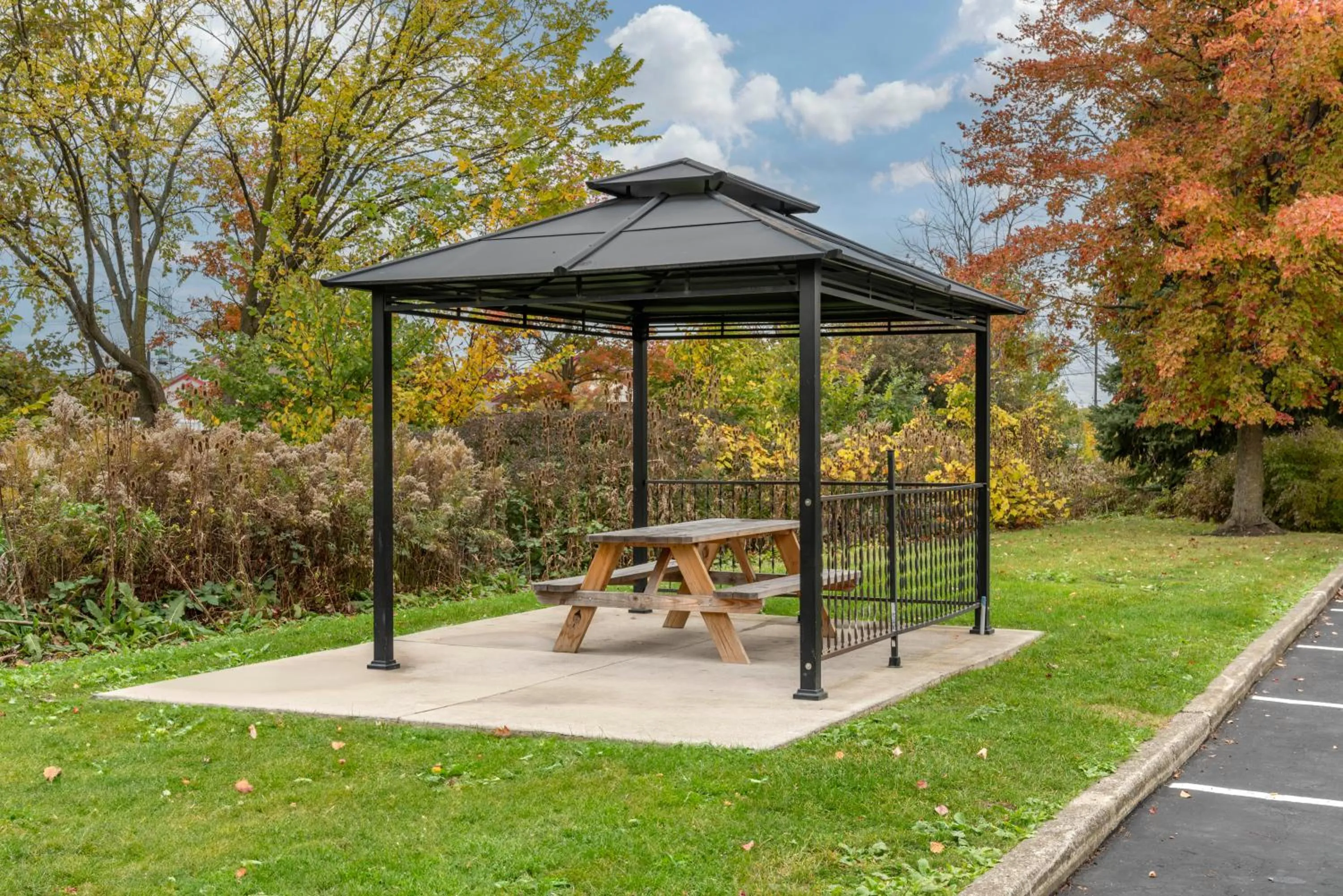 Natural landscape in Comfort Inn University