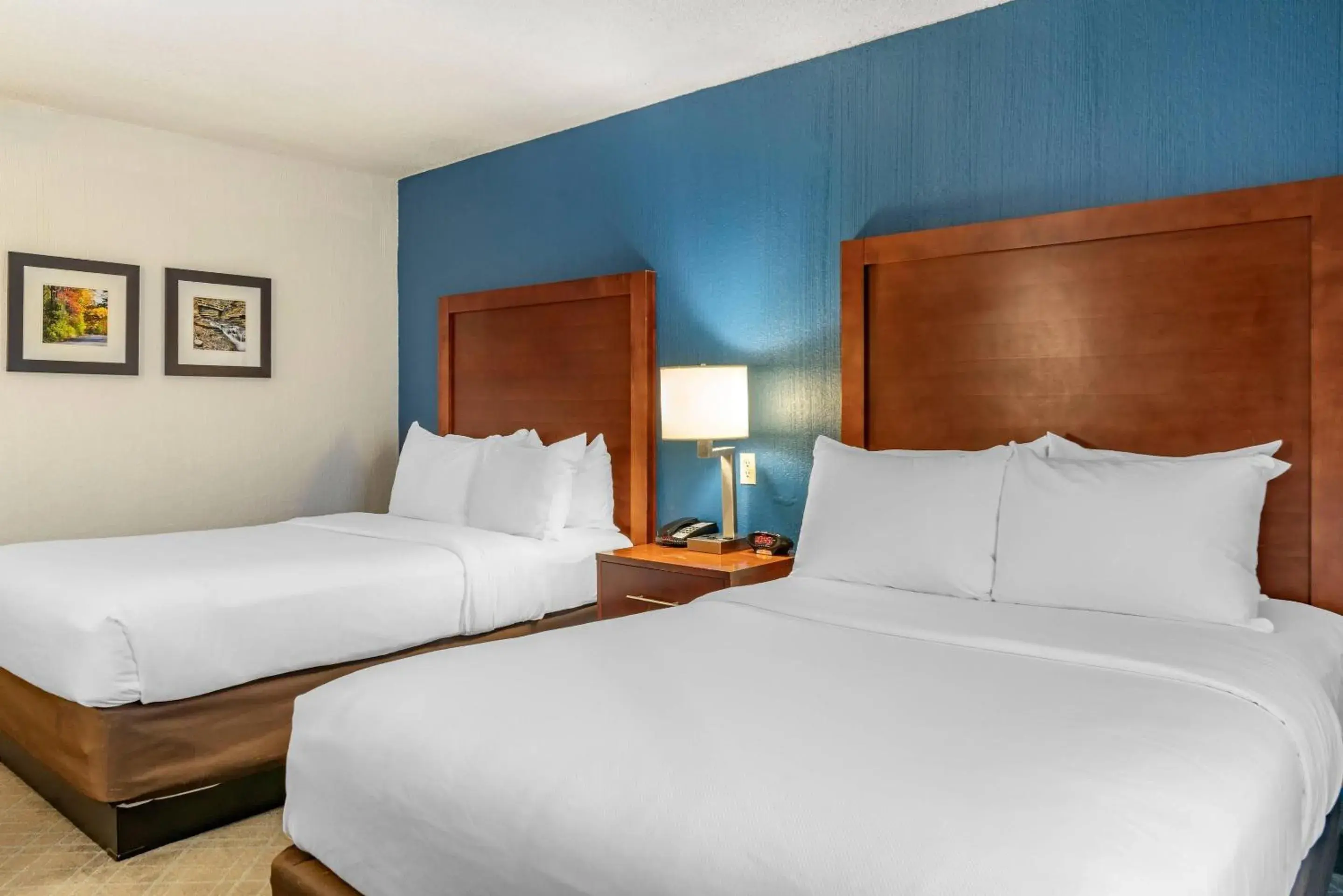 Bedroom, Bed in Comfort Inn University Bedroom, Bed in Comfort Inn University