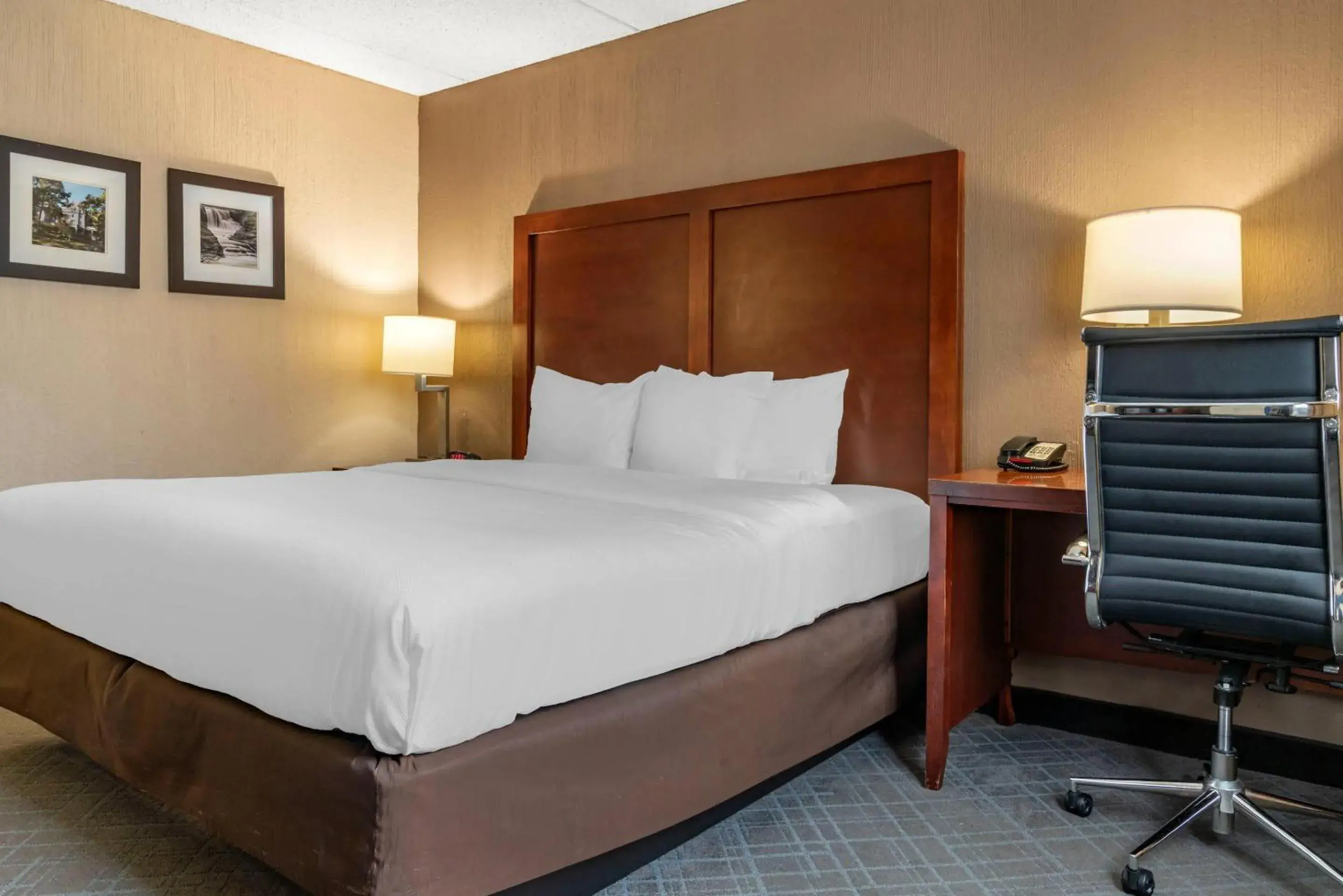 Bedroom, Bed in Comfort Inn University Bedroom, Bed in Comfort Inn University