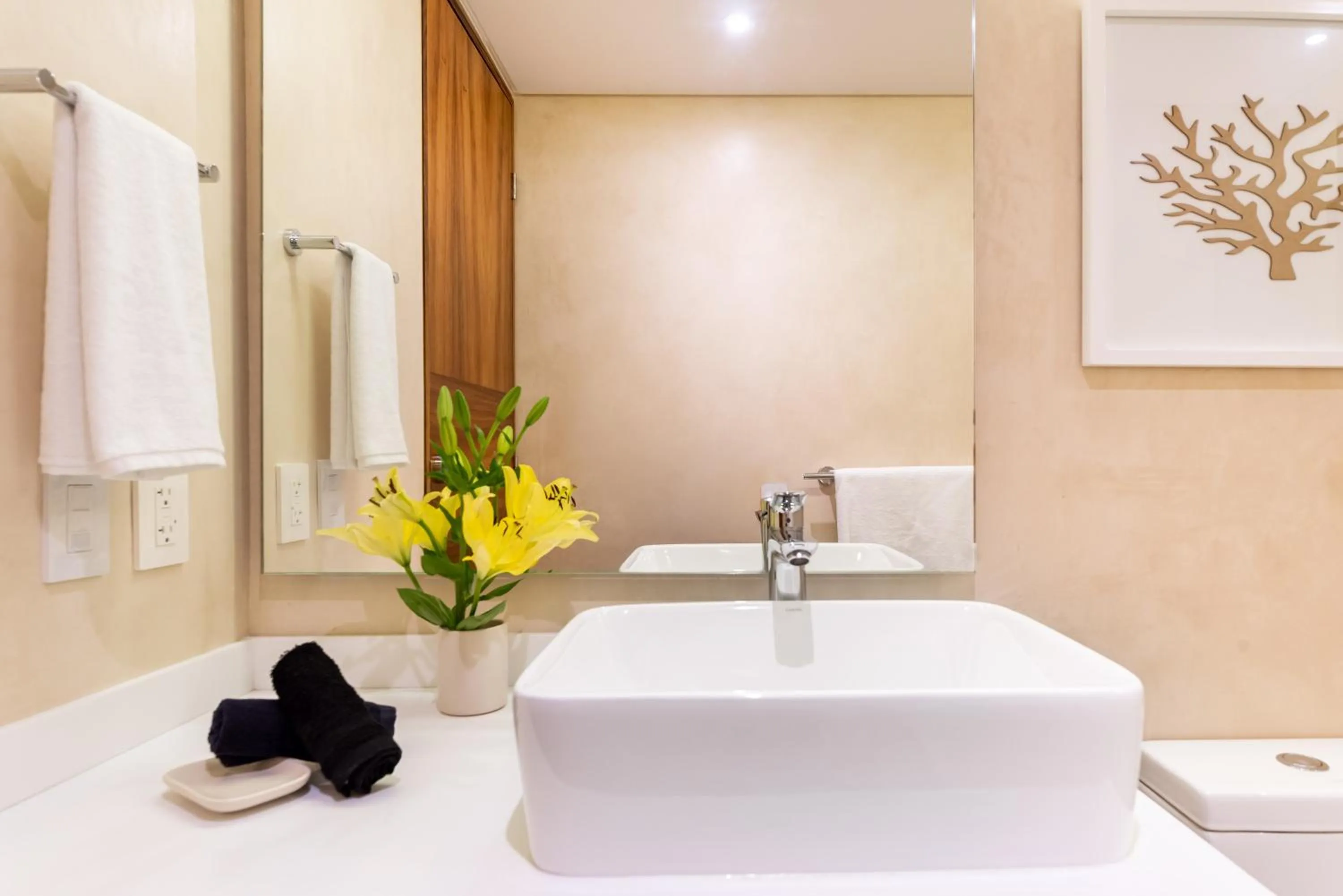 Bathroom in Central Park Lagunas by Sandy Powerful