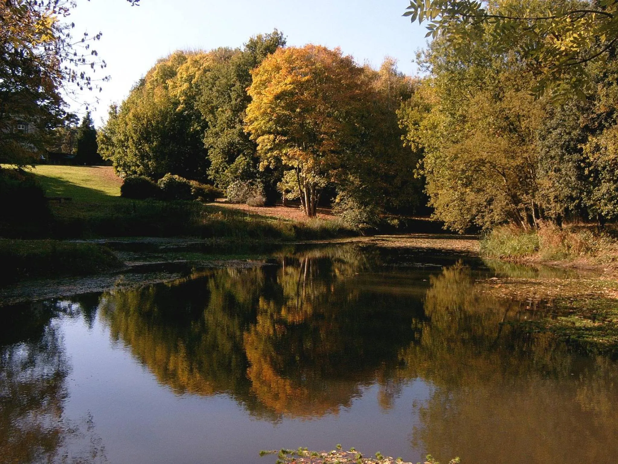 Fishing in Glyndley Manor Cottages