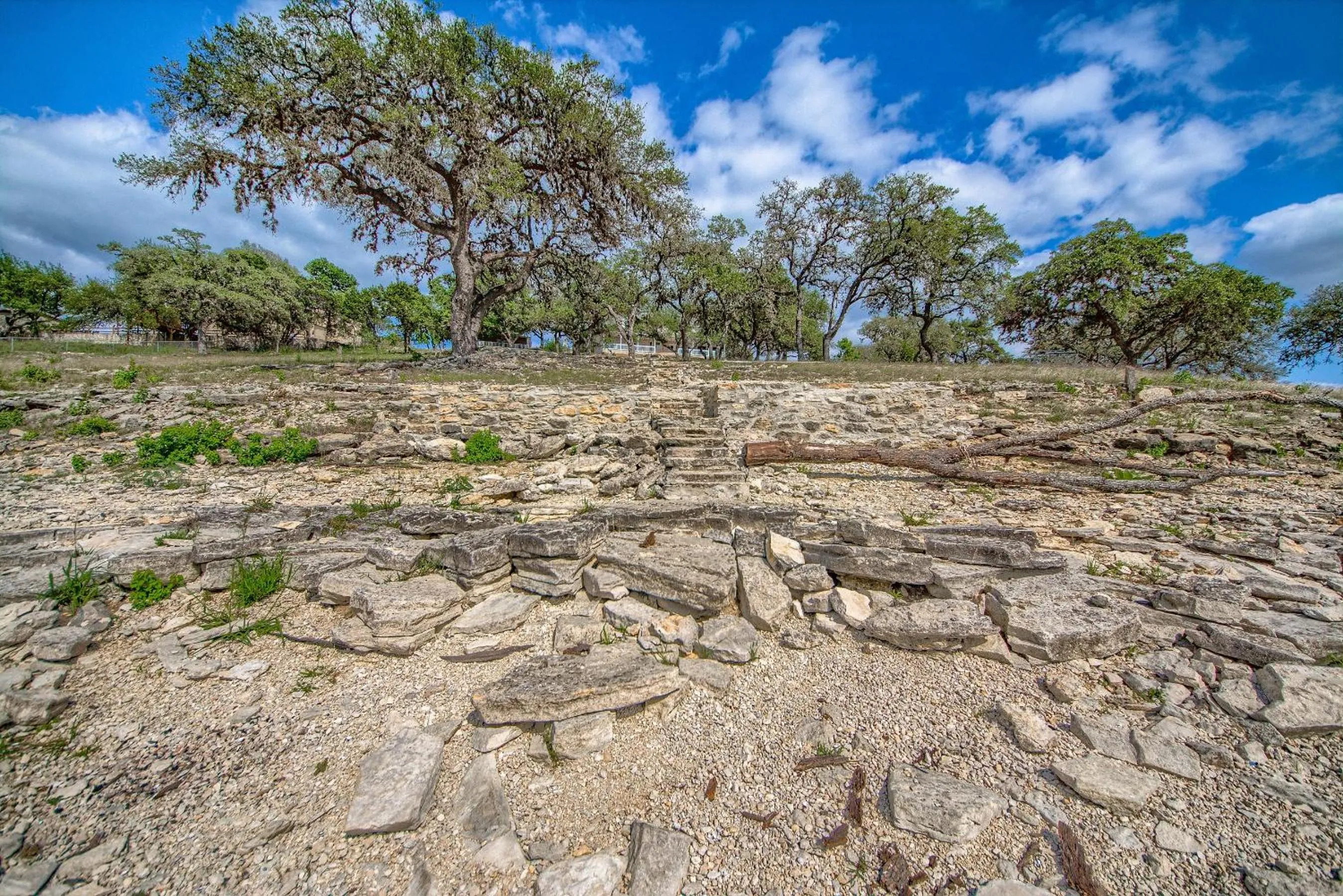 Other in CL 1105C A Shore Thing