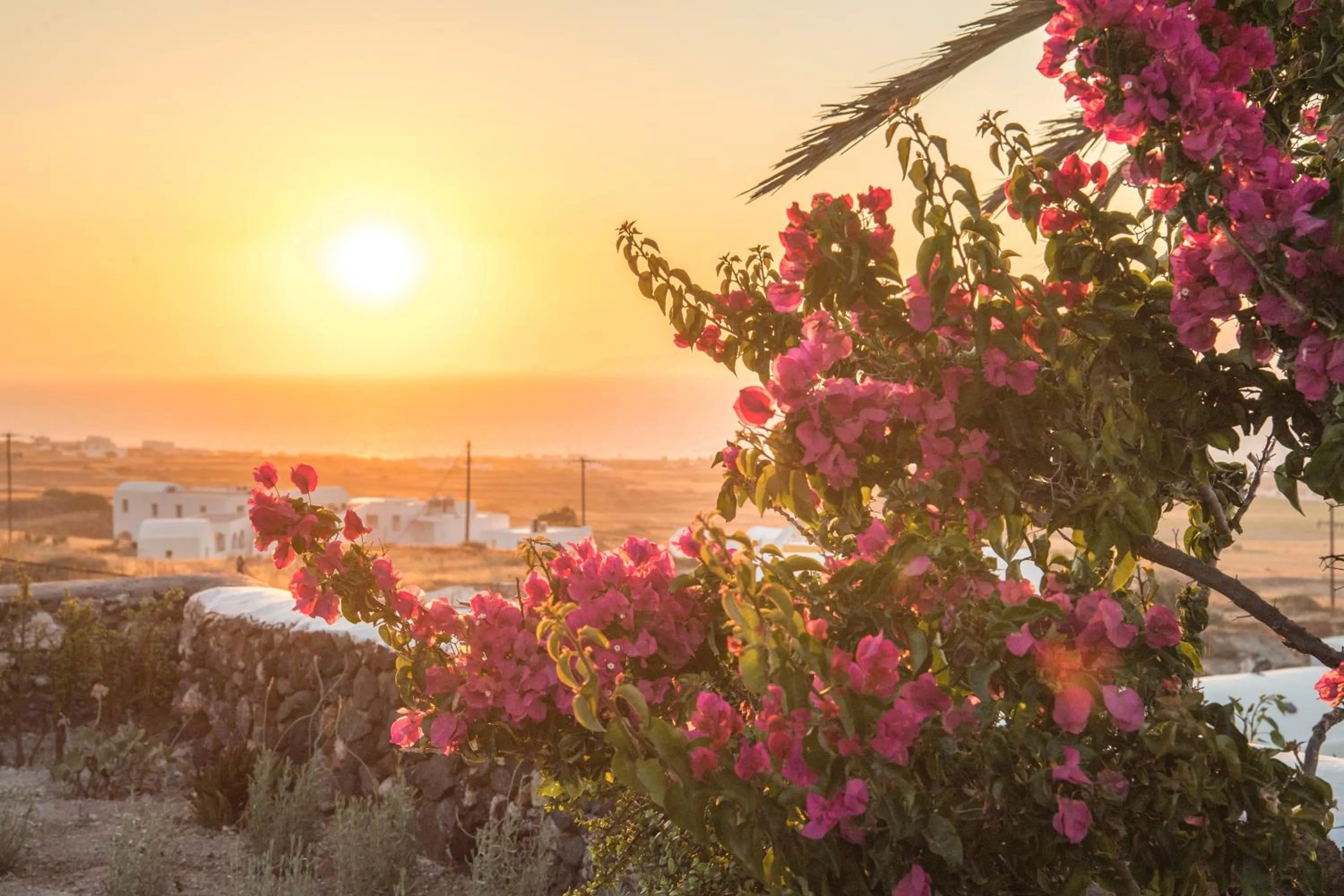 Balcony/Terrace in AQUA SERENITY LUXURY SUITES SANTORINI
