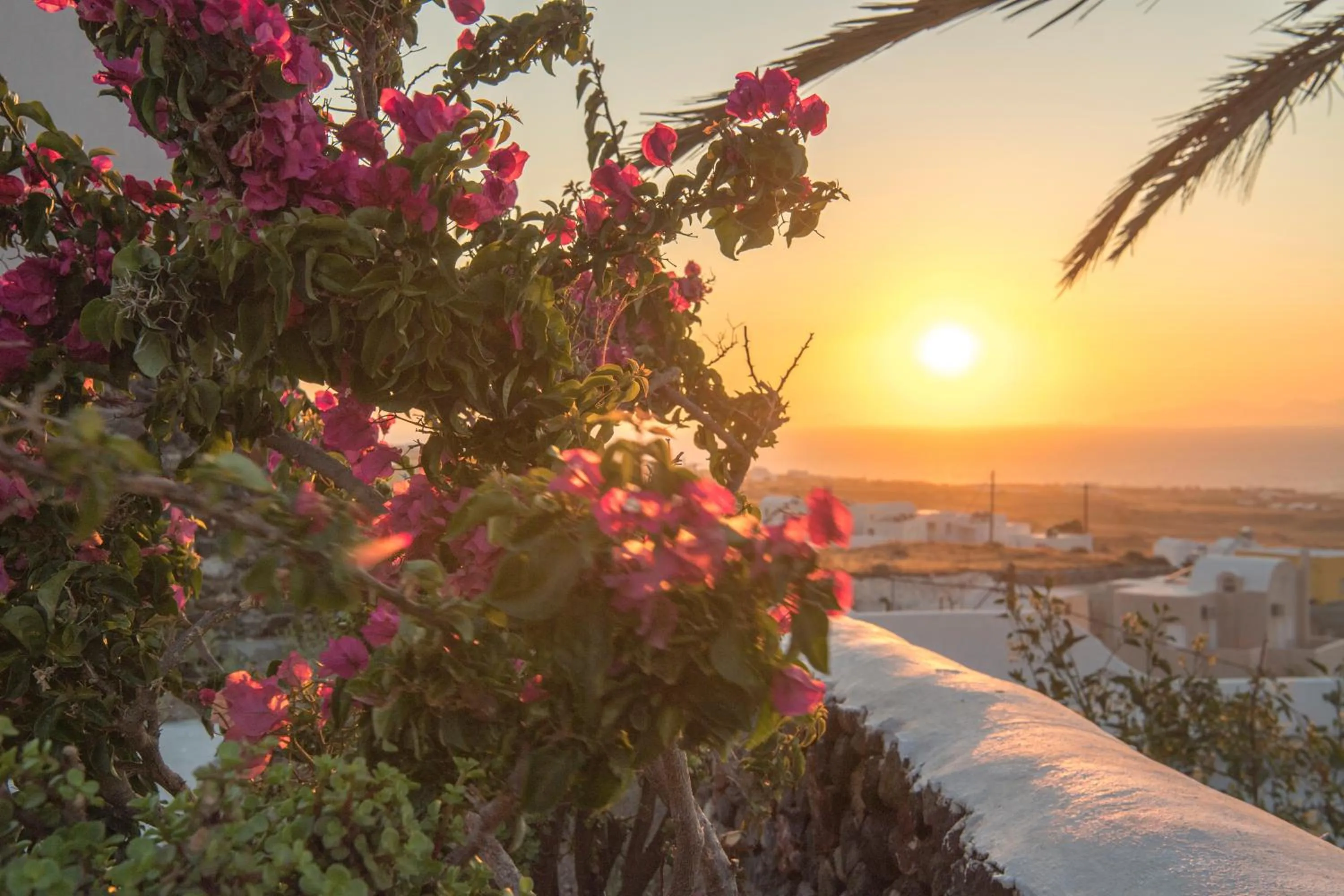 Balcony/Terrace in AQUA SERENITY LUXURY SUITES SANTORINI