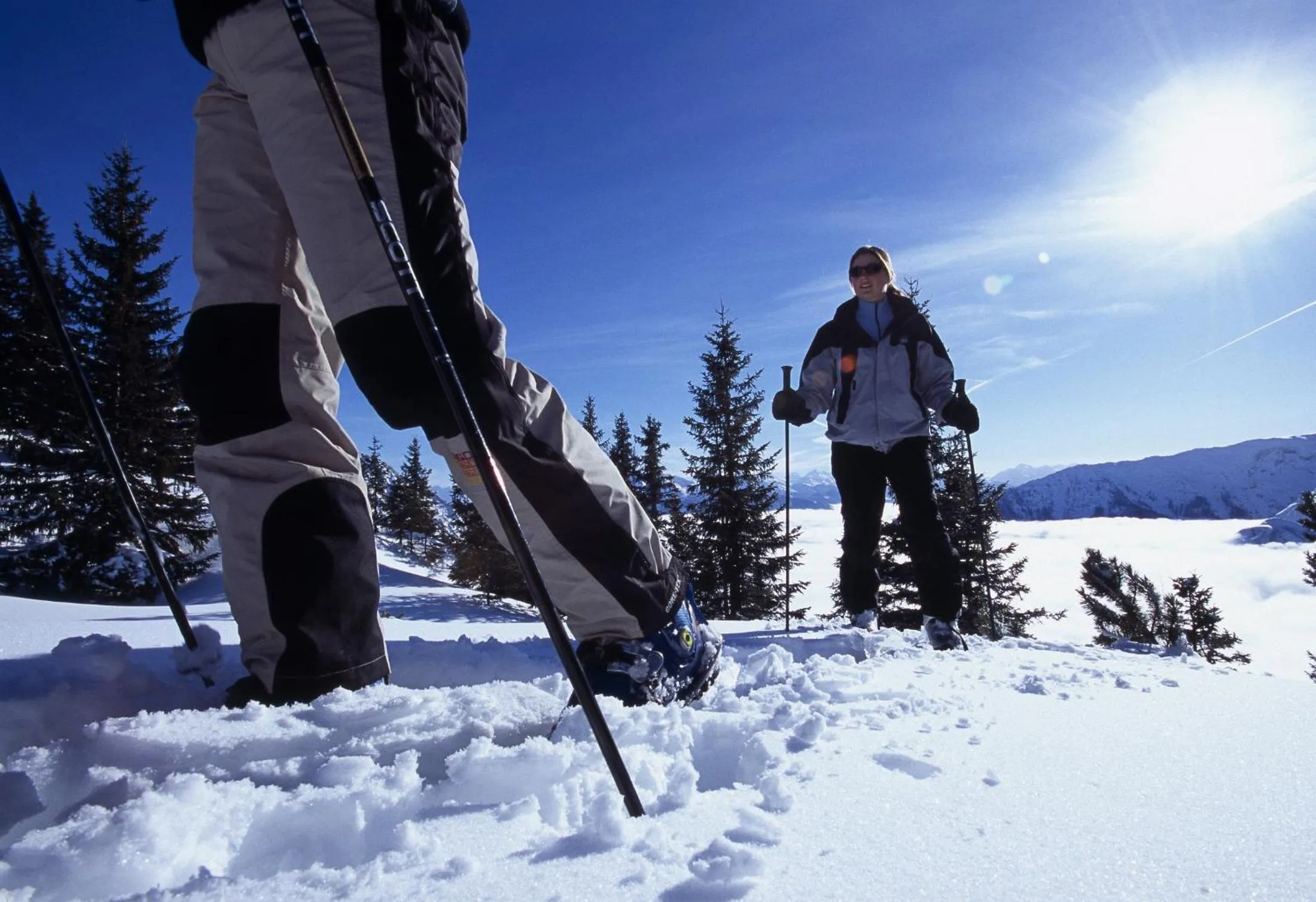 Natural landscape in Hotel Post am See
